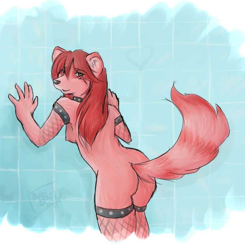 bearbun, ass, breasts, canine, collar, female, fishnet, fox, fur, furry ears, furry tail, gloves, nude, shower, solo, stockings, tail, 