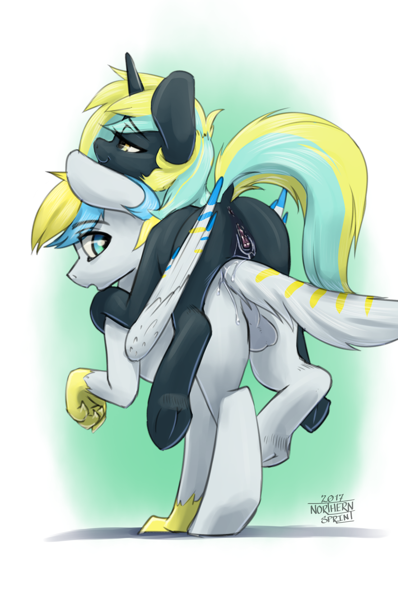 northernsprint, my little <b>pony</b>, anus, ass, backsack, balls, duo, equine, fa...