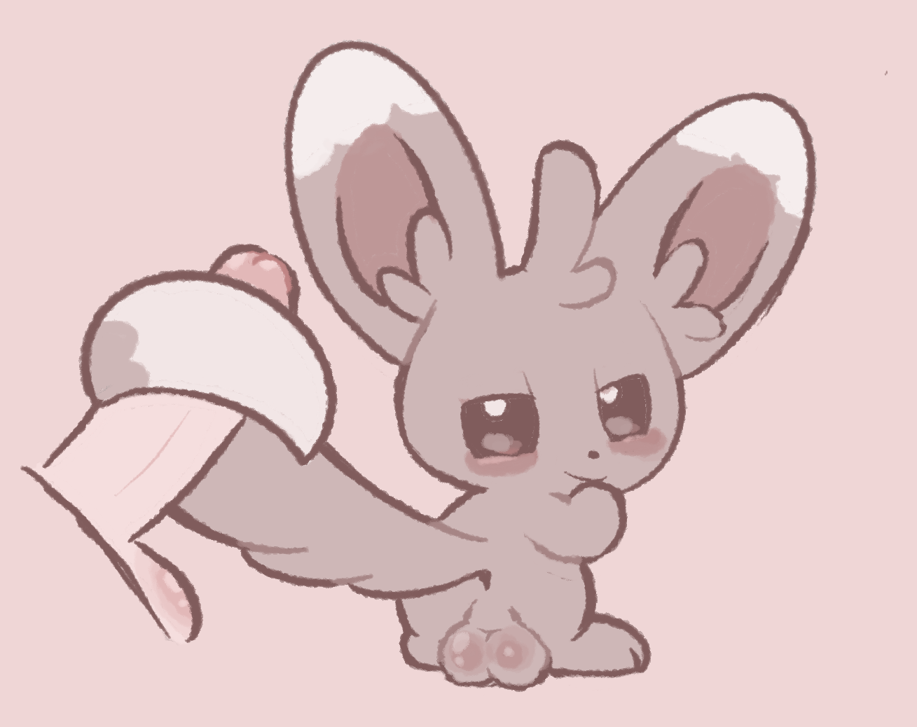 Missing minccino