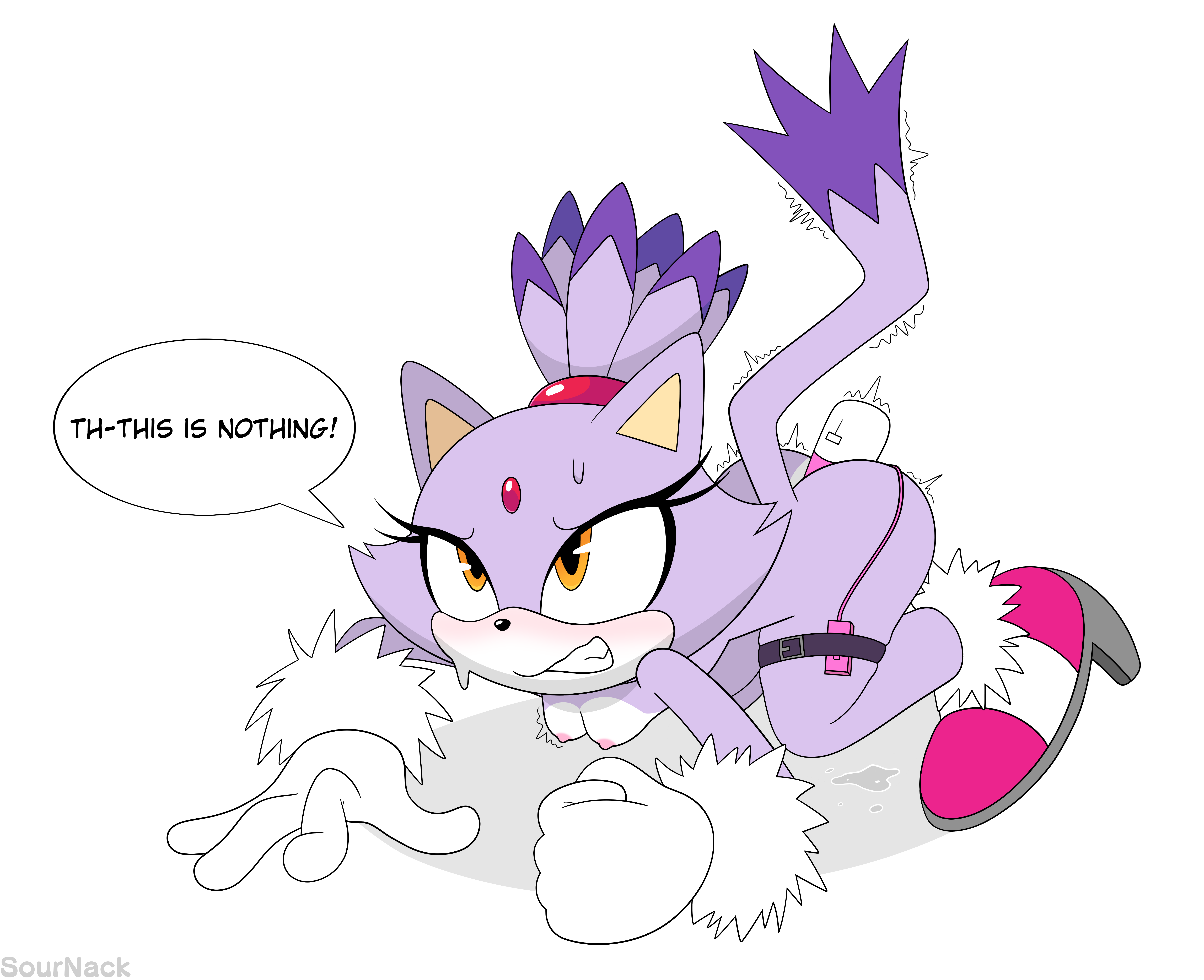 Rule34 - If it exists, there is porn of it  blaze the cat  4579232