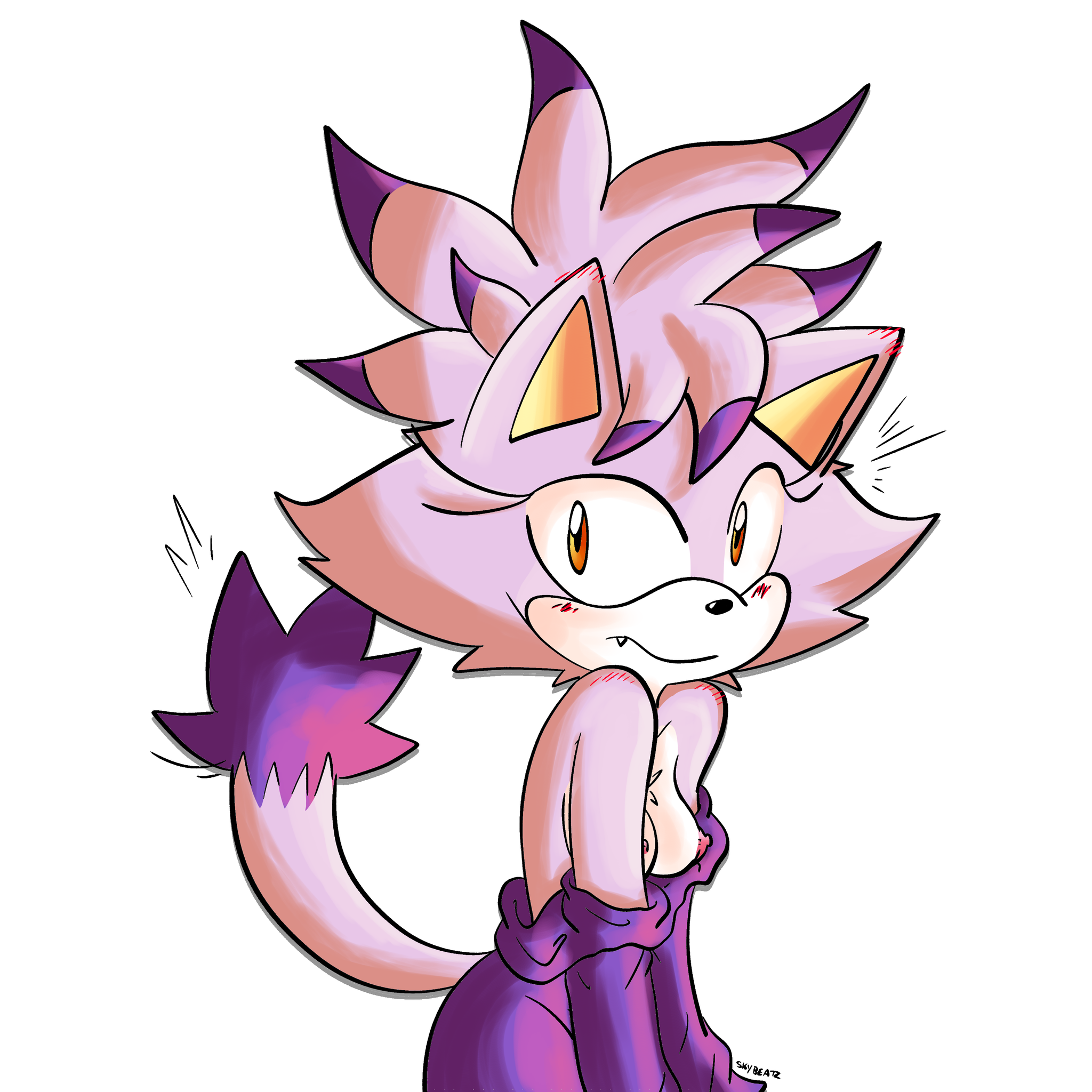 Sexy Blaze The Cat