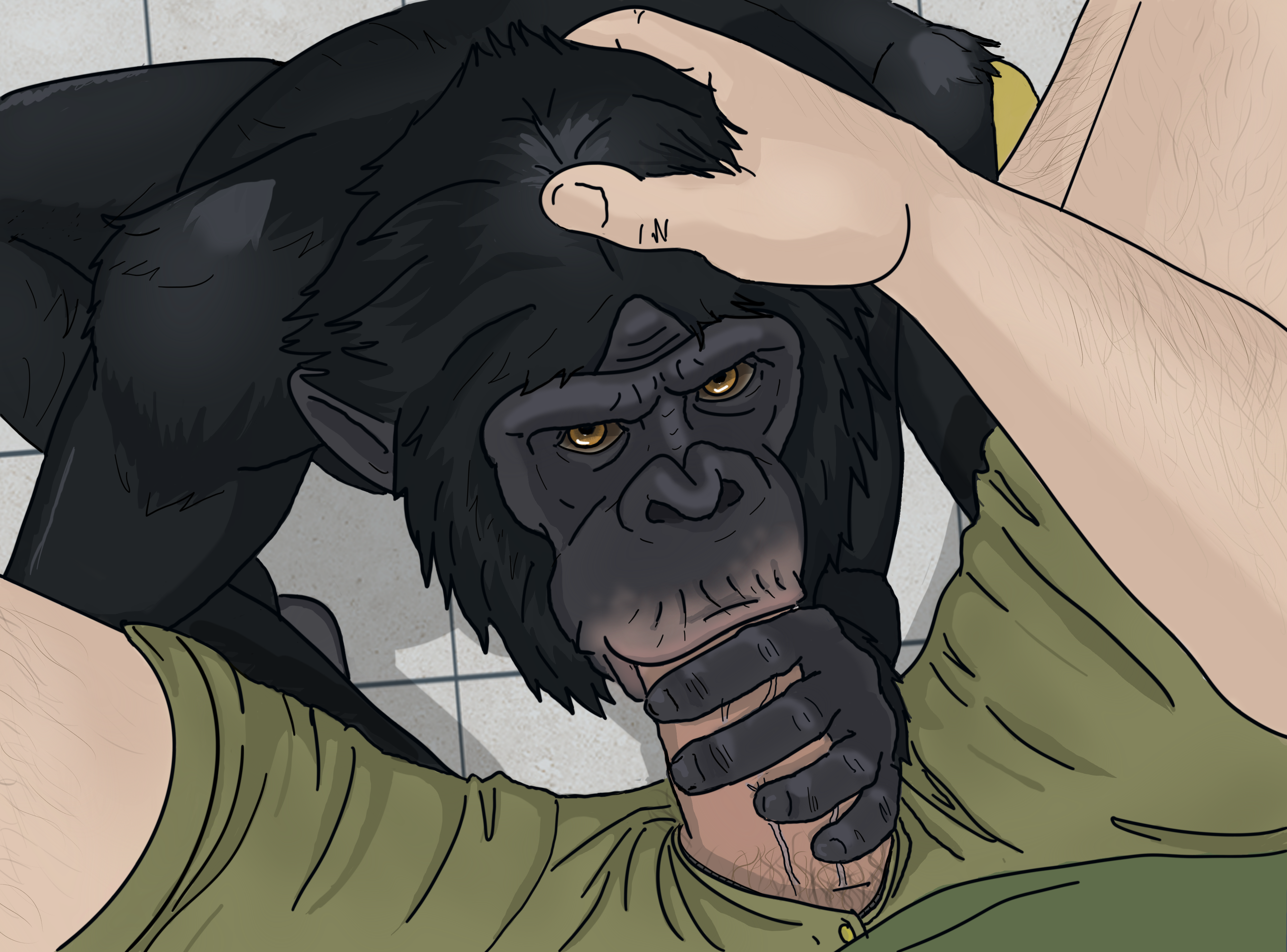 Porn chimpanzee