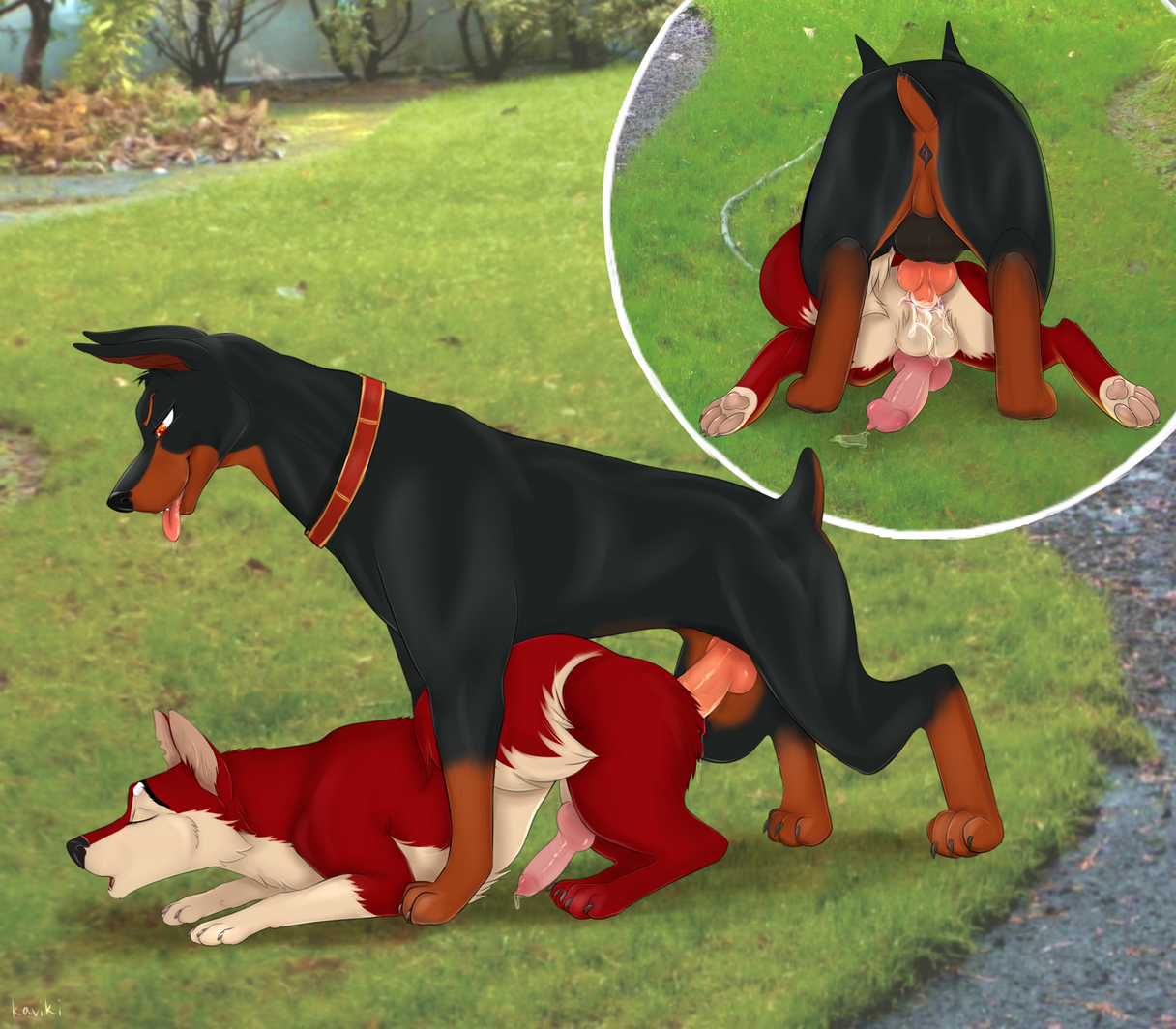 What age do dobermans stop growing