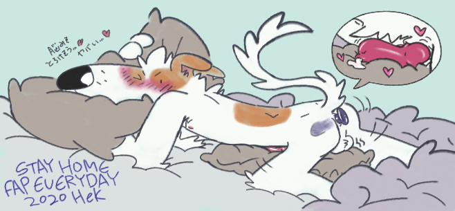 japanese text, text, anthro, balls, bedding, bedroom, blush, bodily fluids, borzoi, buttplug in ass, canid, canine, canis, cum, domestic dog, ejaculation, genital fluids, genitals, hek, hunting dog, internal, knot, male, male only, mammal, masturbation, penis, sighthound, solo, 