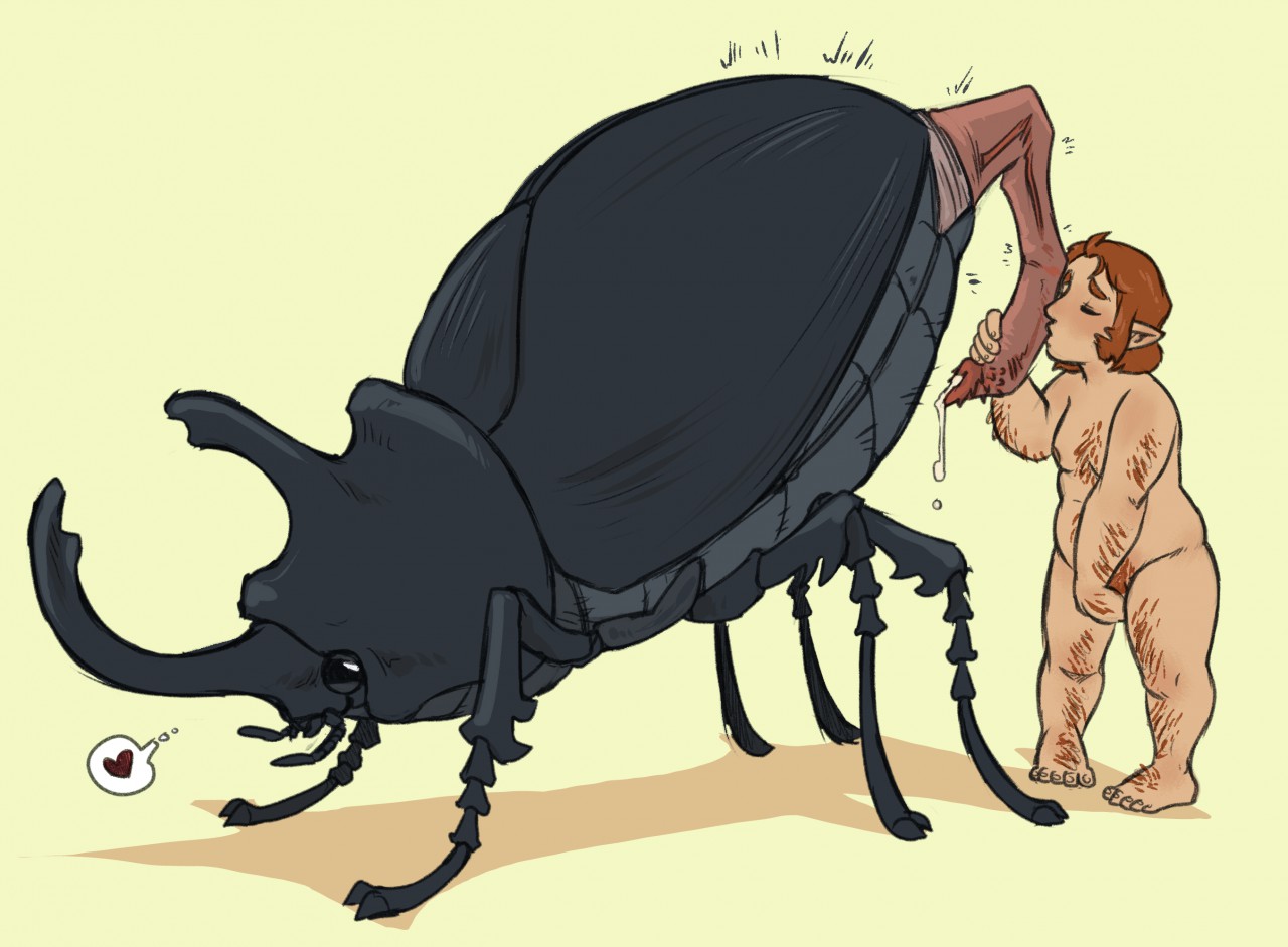 Beetle porn