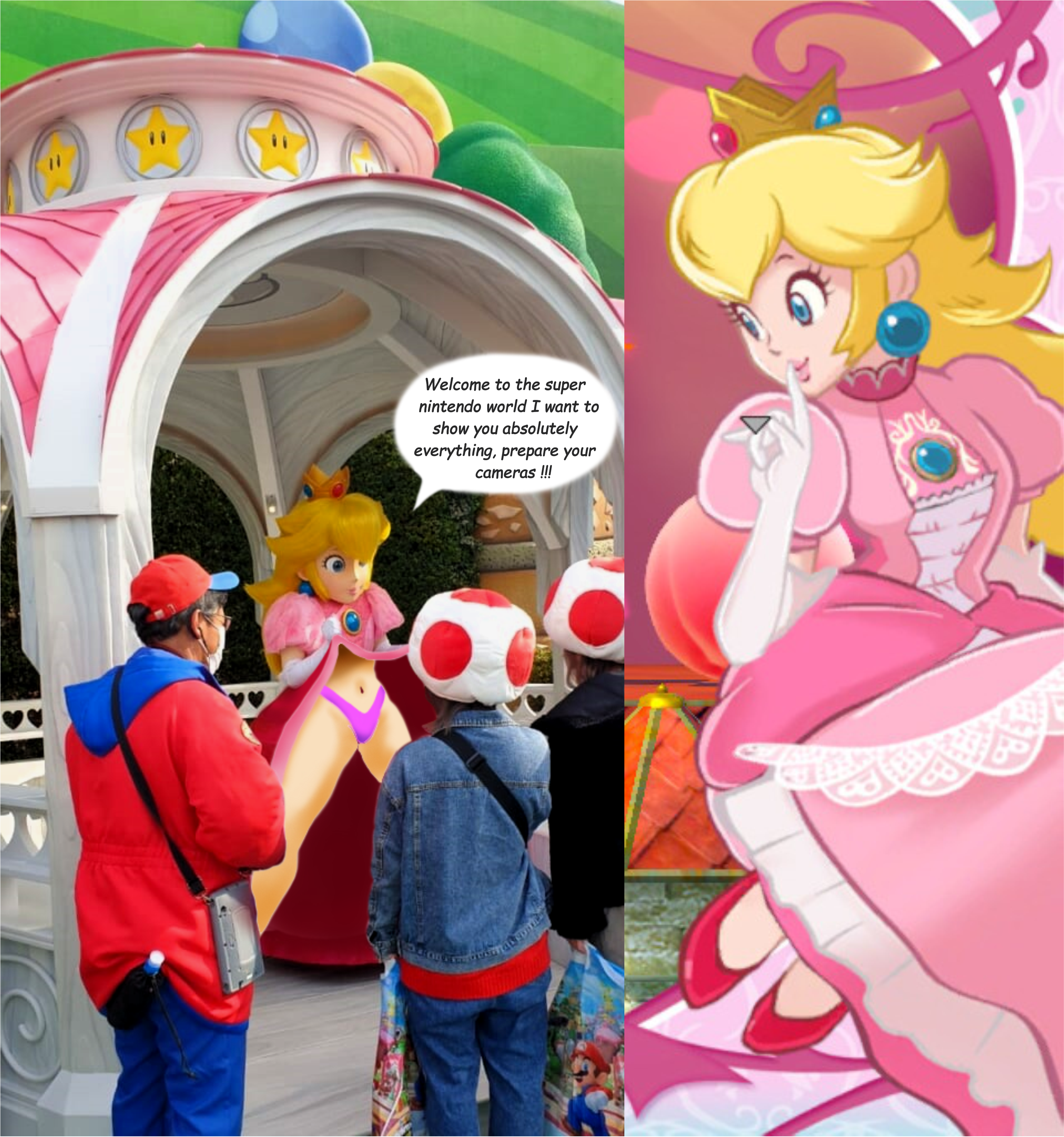 Princess peach and mario porn