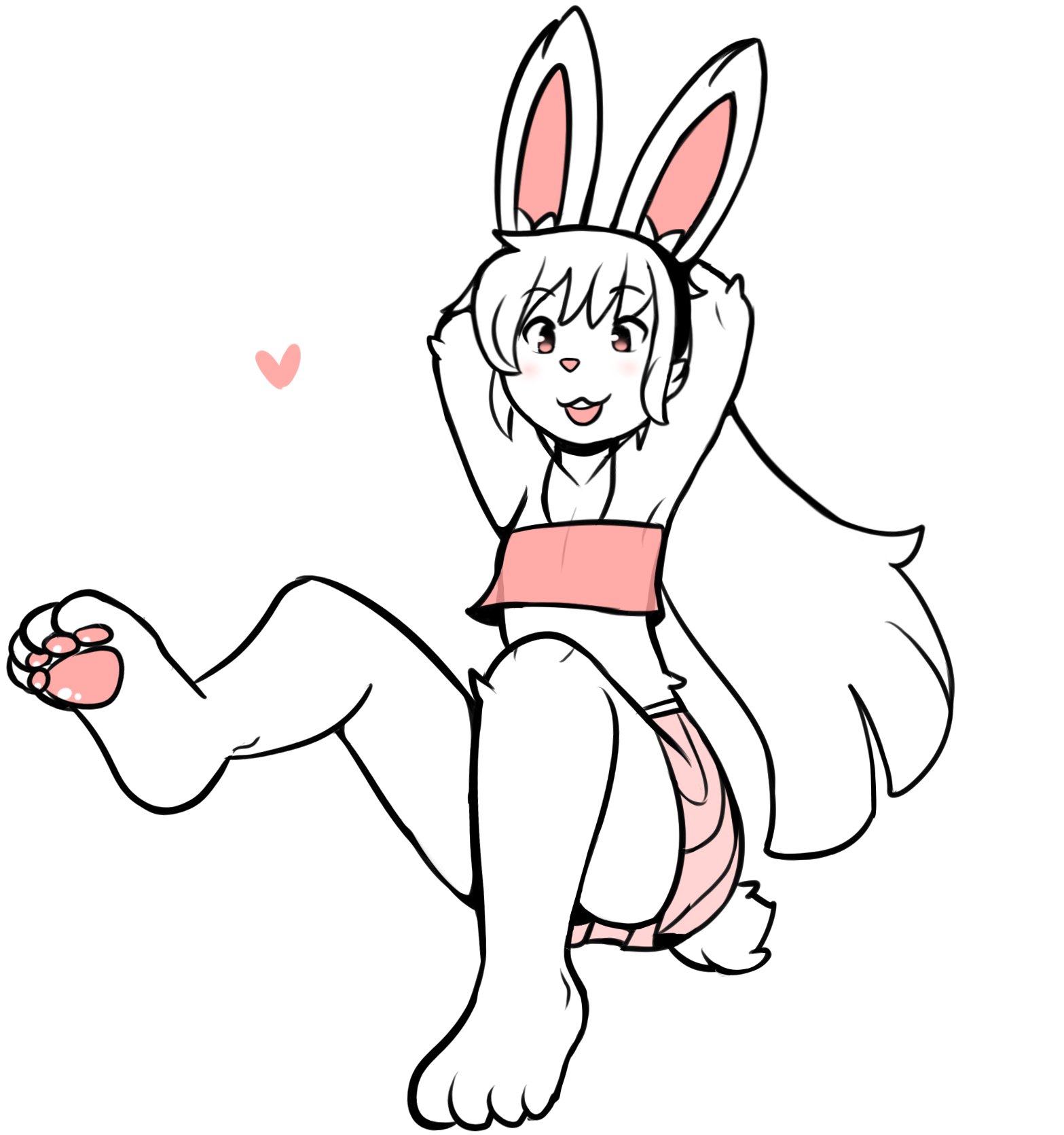 Do rabbits have paw pads