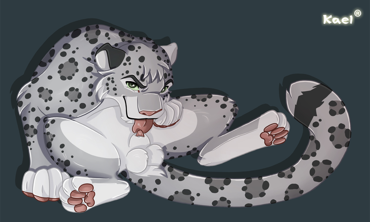 kieran, kieran (kierish), 2016, animal genitalia, animal penis, anthro, balls, erection, feline, feral, fur, kael tiger, leopard, looking at viewer, male, male only, mammal, paws, penis, snow leopard, solo, spots, tongue, 