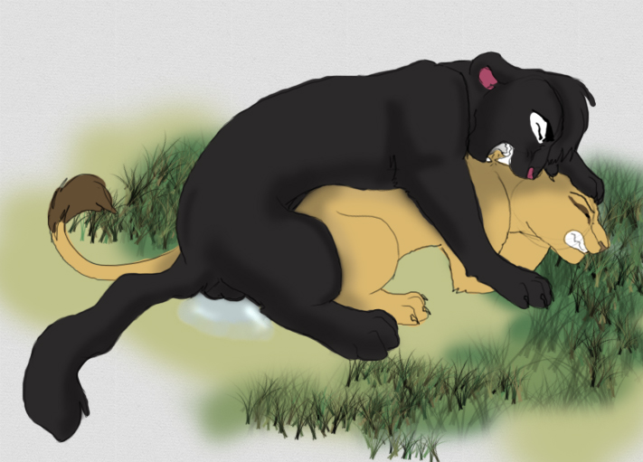 shads, the shadow of light, 1boy, 1girls, ass, closed eyes, fangs, feline, female, feral, fur, furrysarabi, grass, interspecies, male, nude, panther, paws, penetration, sex, shadow, straight, tail, 
