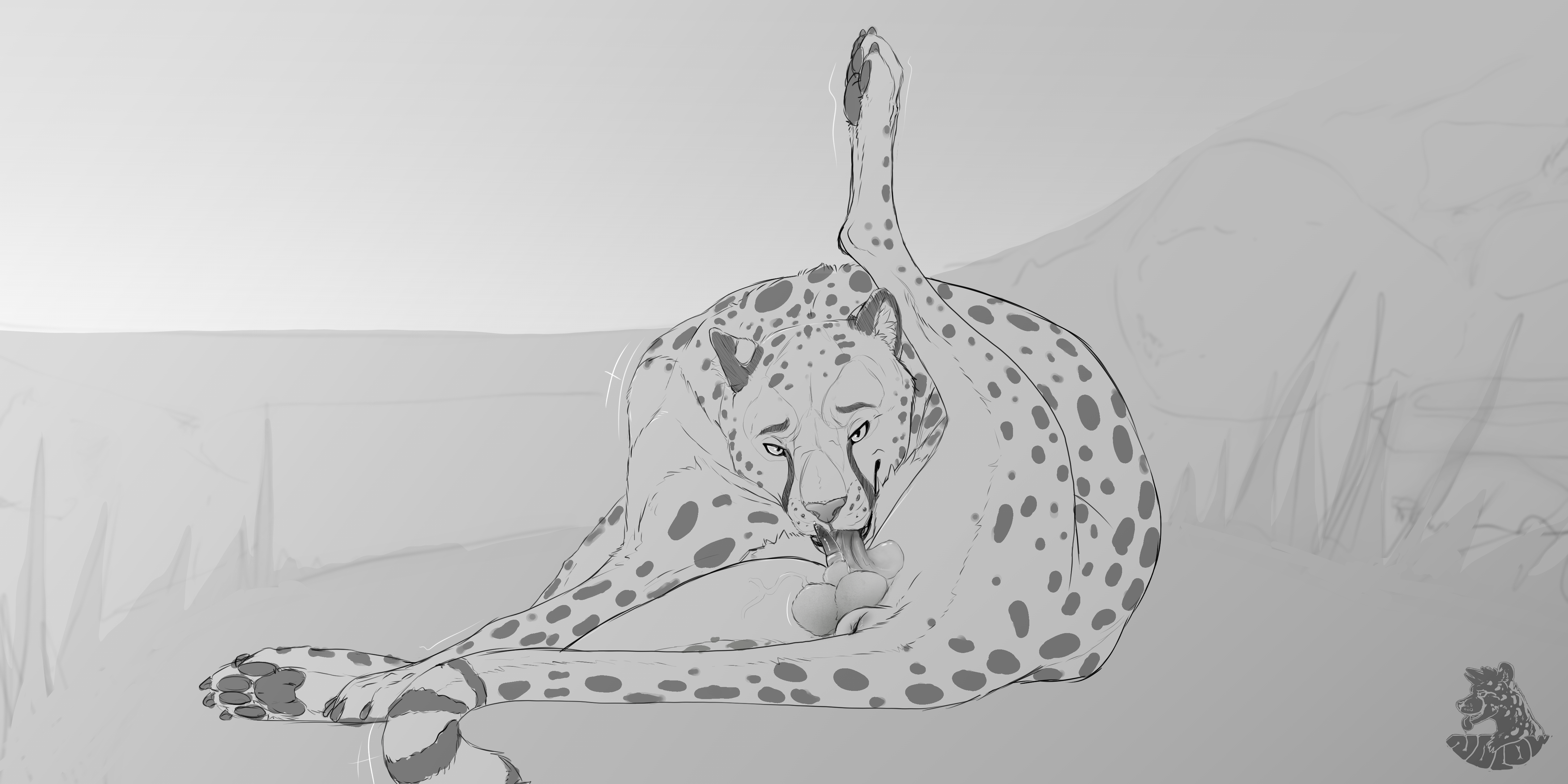 absurd res, hi res, animal genitalia, balls, cheetah, cleaning, eaglethecheetah, felid, feline, genitals, mammal, nolow, penile spines, penis, sheath, spots, tongue, 