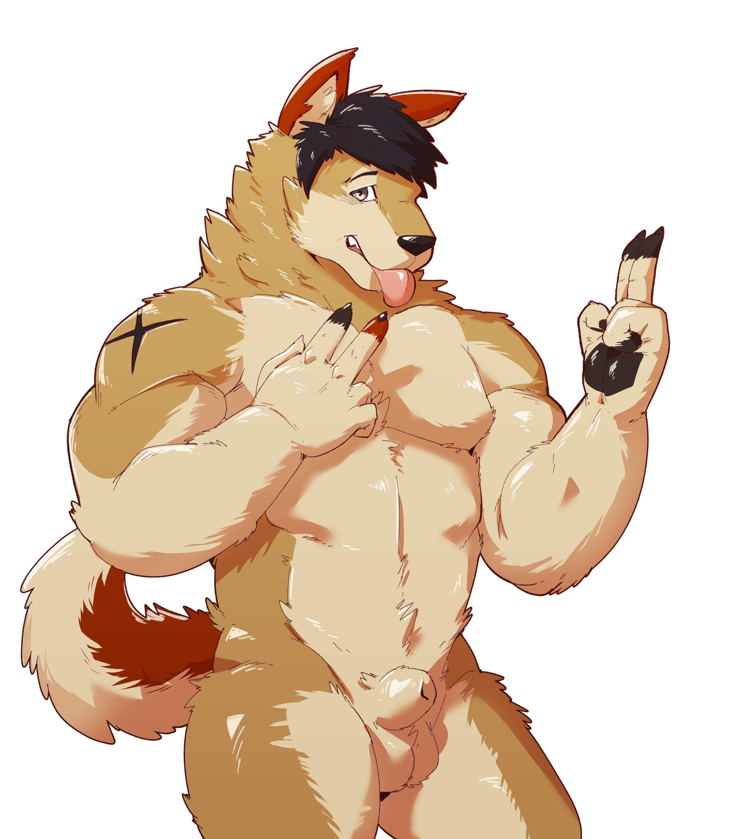 jumperbear, 2019, absurdres, highres, simple background, white background, anthro, belly, canid, canine, canis, domestic dog, furry, humanoid hands, male, male only, mammal, penis, solo, testicles, tongue, tongue out, 