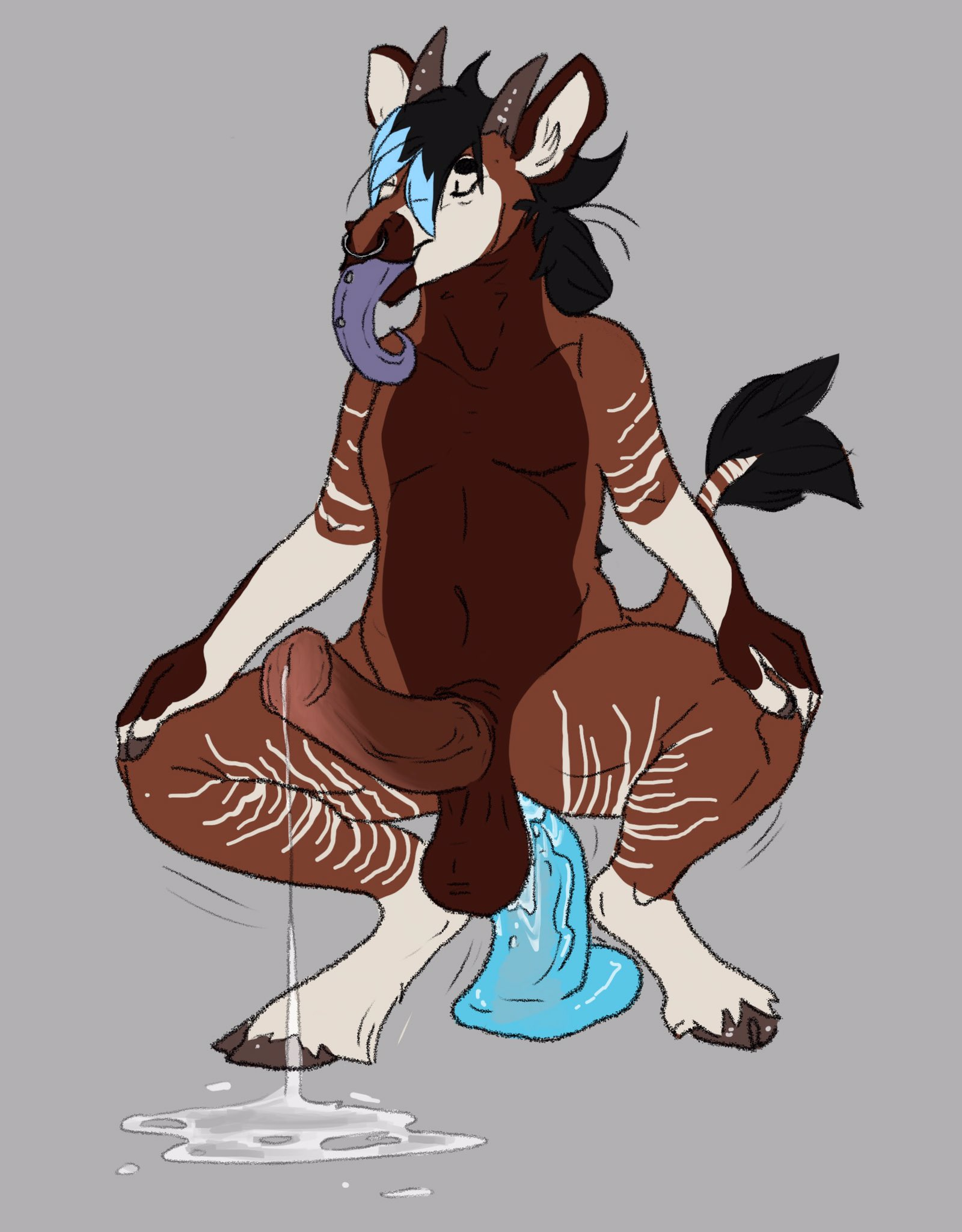 okapi, hi res, acidraptor, animal genitalia, animal penis, anthro, balls, bodily fluids, closed eyes, cum, dildo, dildo sitting, equine penis, genital fluids, genitals, giraffid, long tongue, male, mammal, penetration, penis, piercing, saggy balls, sex toy, solo, tongue, tongue out, tongue piercing, 