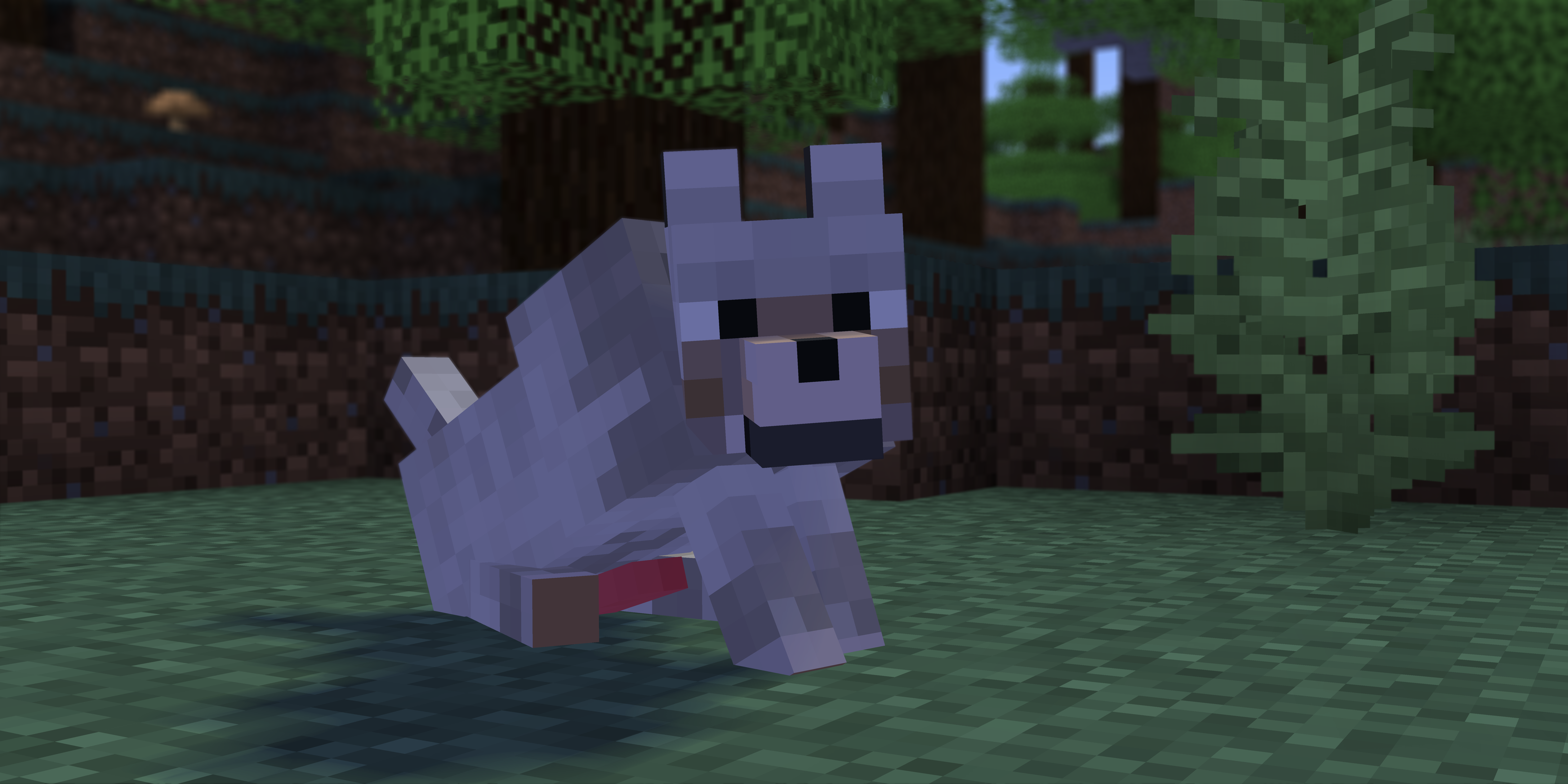 Minecraft wolf rule 34