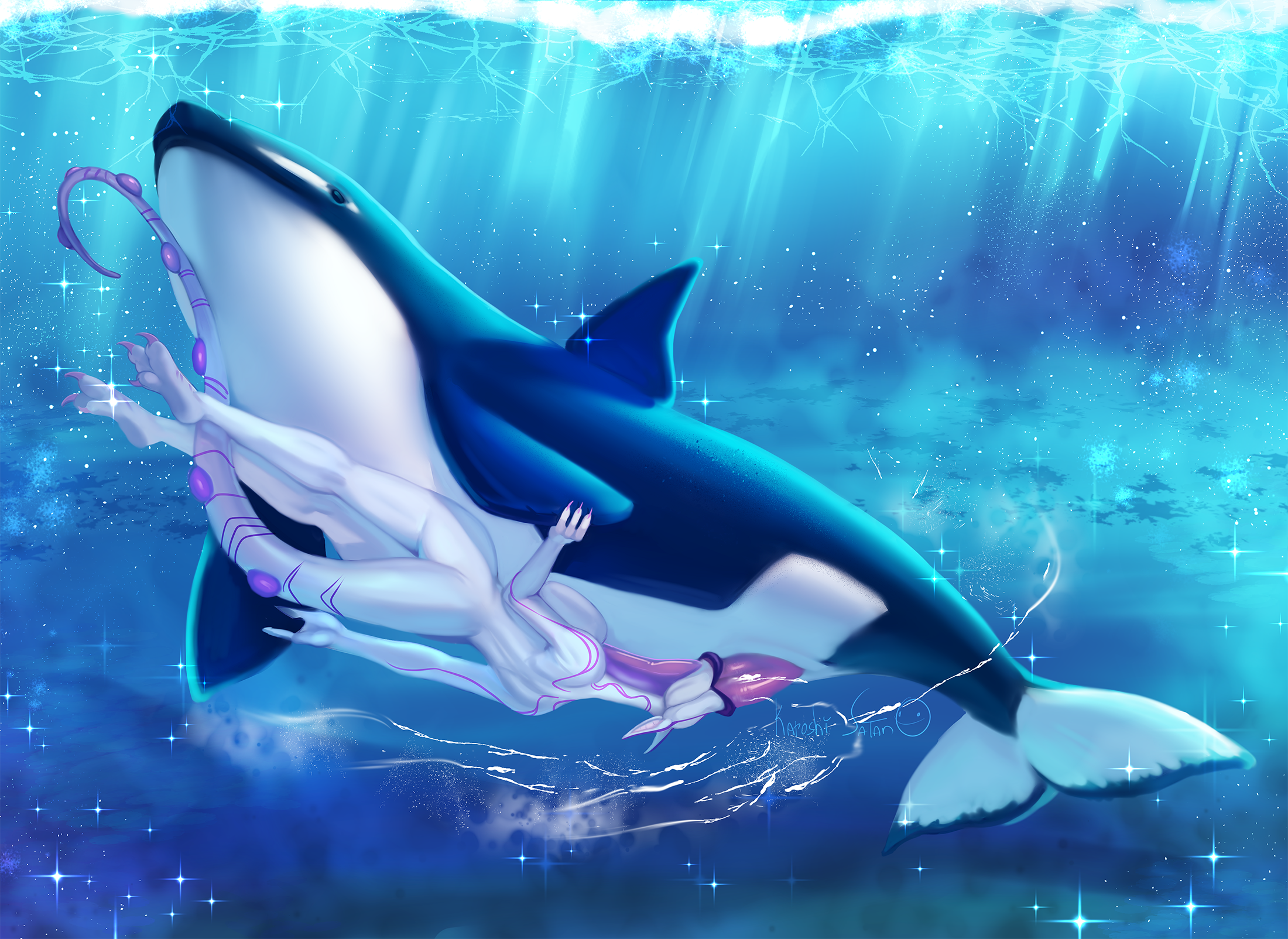 Bestiality dolphin