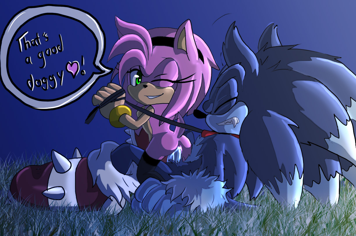 Rule34 - If it exists, there is porn of it / angelofhapiness, amy rose,  sonic the hedgehog, sonic the werehog / 1014203