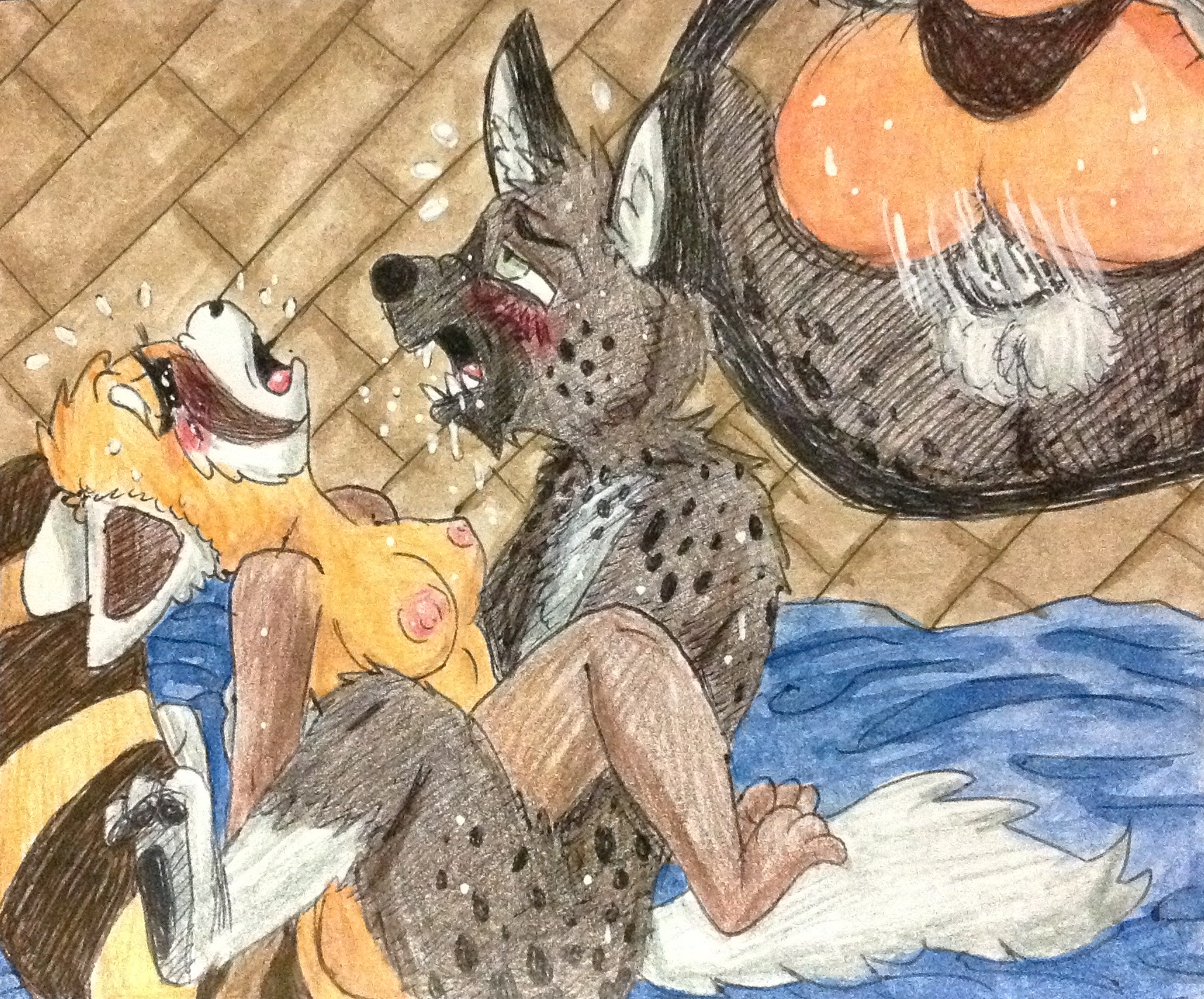 Rule34 - If it exists, there is porn of it / haida, retsuko 