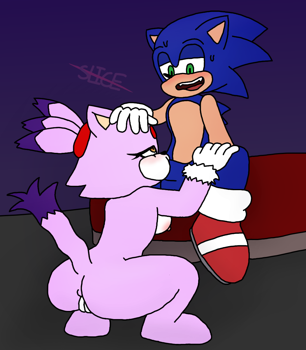 blaze the cat, sonic the hedgehog, sega, sonic the hedgehog (series), hi res, anthro, blue body, domestic cat, duo, eulipotyphlan, felid, feline, felis, fellatio, female, genitals, hand on head, hedgehog, male, male/female, mammal, nipples, nude, oral, penile, penis, purple body, pussy, sex, slice-guy, 