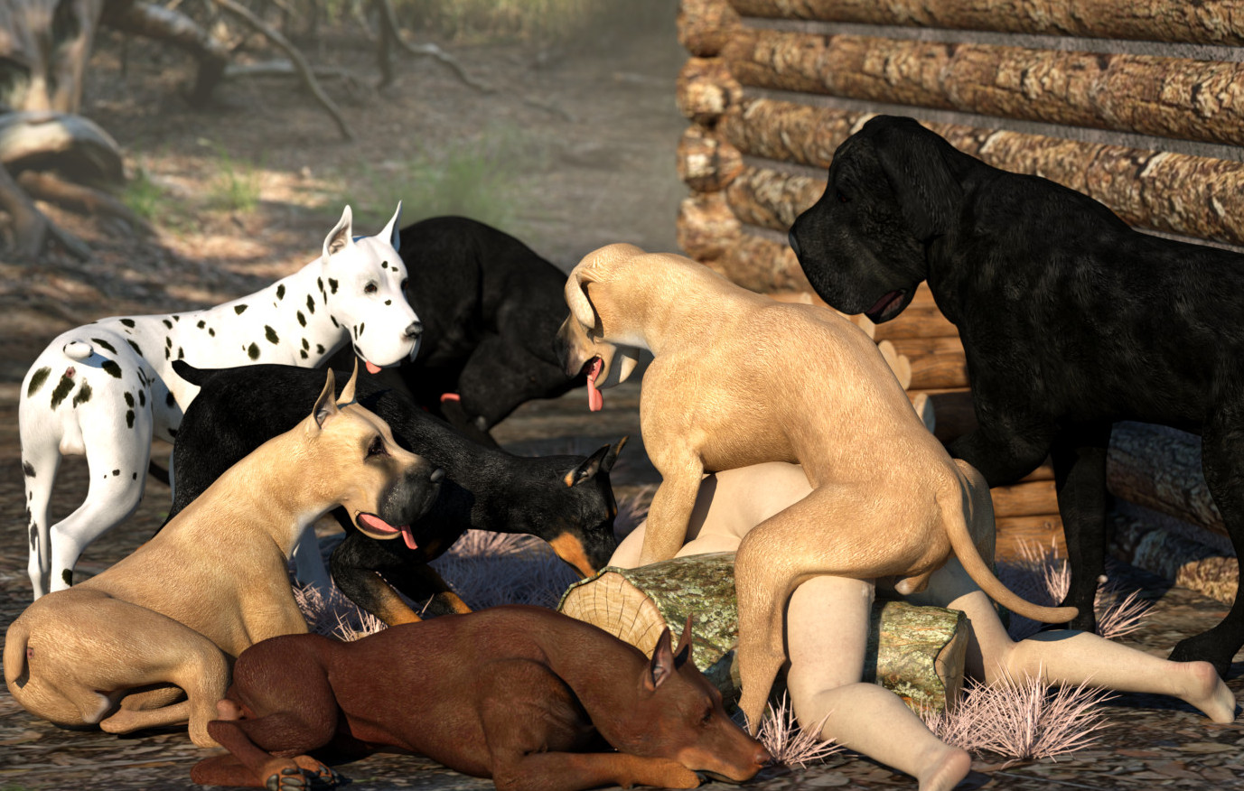 Dogs orgy