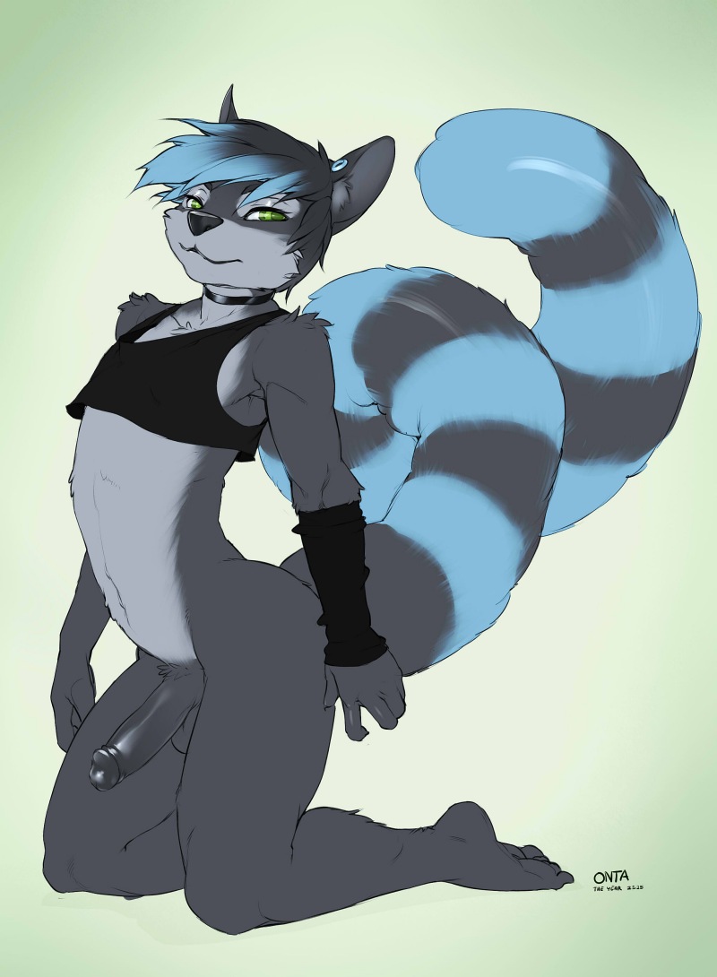 onta, original character, text, watermark, 1boy, bottomless, choker, clothing, eye contact, furry, green eyes, half-closed eyes, hindpaw, long tail, looking at viewer, male, male only, multicolored hair, paws, penis, shirt, tail, tank top, 