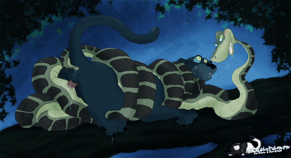 Rule34 - If it exists, there is porn of it / bagheera, mikachutuhonen, kaa ...