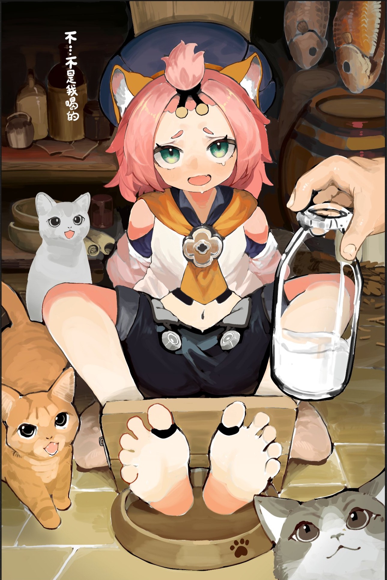 Diona genshin impact rule 34