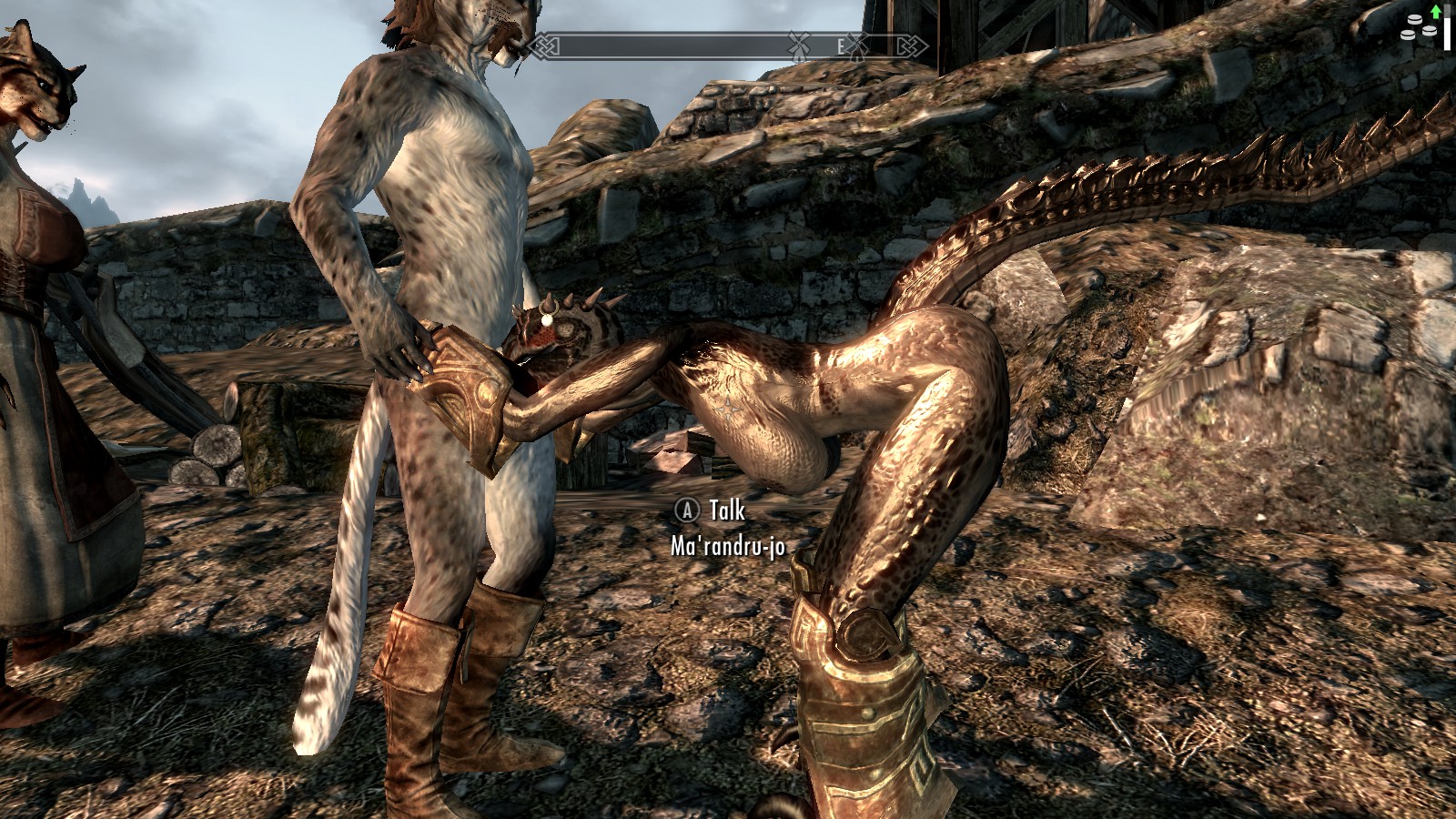 Rule34 - If it exists, there is porn of it / argonian, khajiit / 1343287