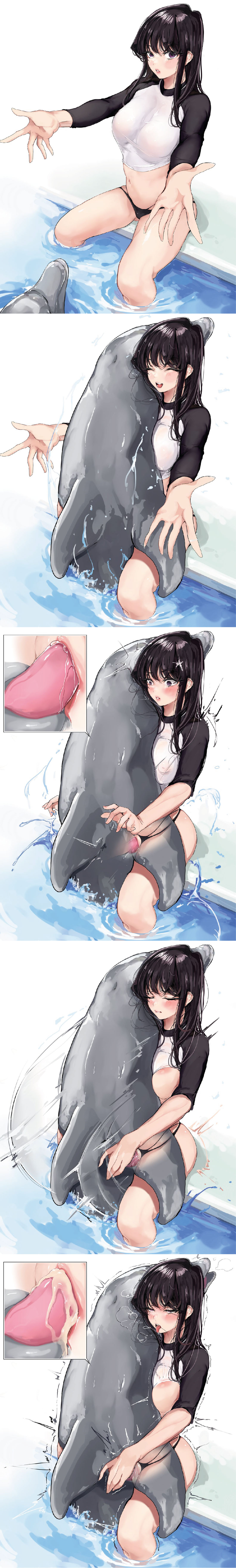 Komi san x dolphin