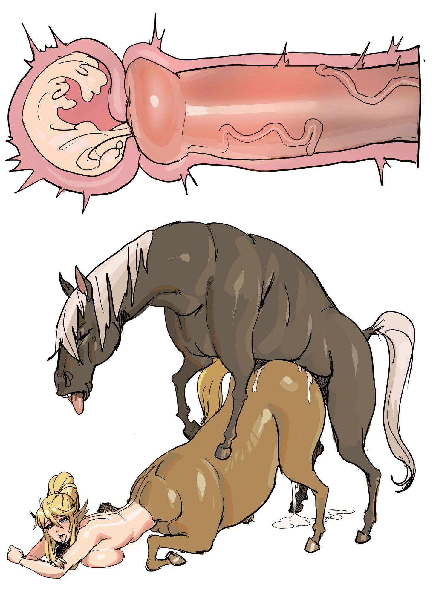 Animal breeding porn