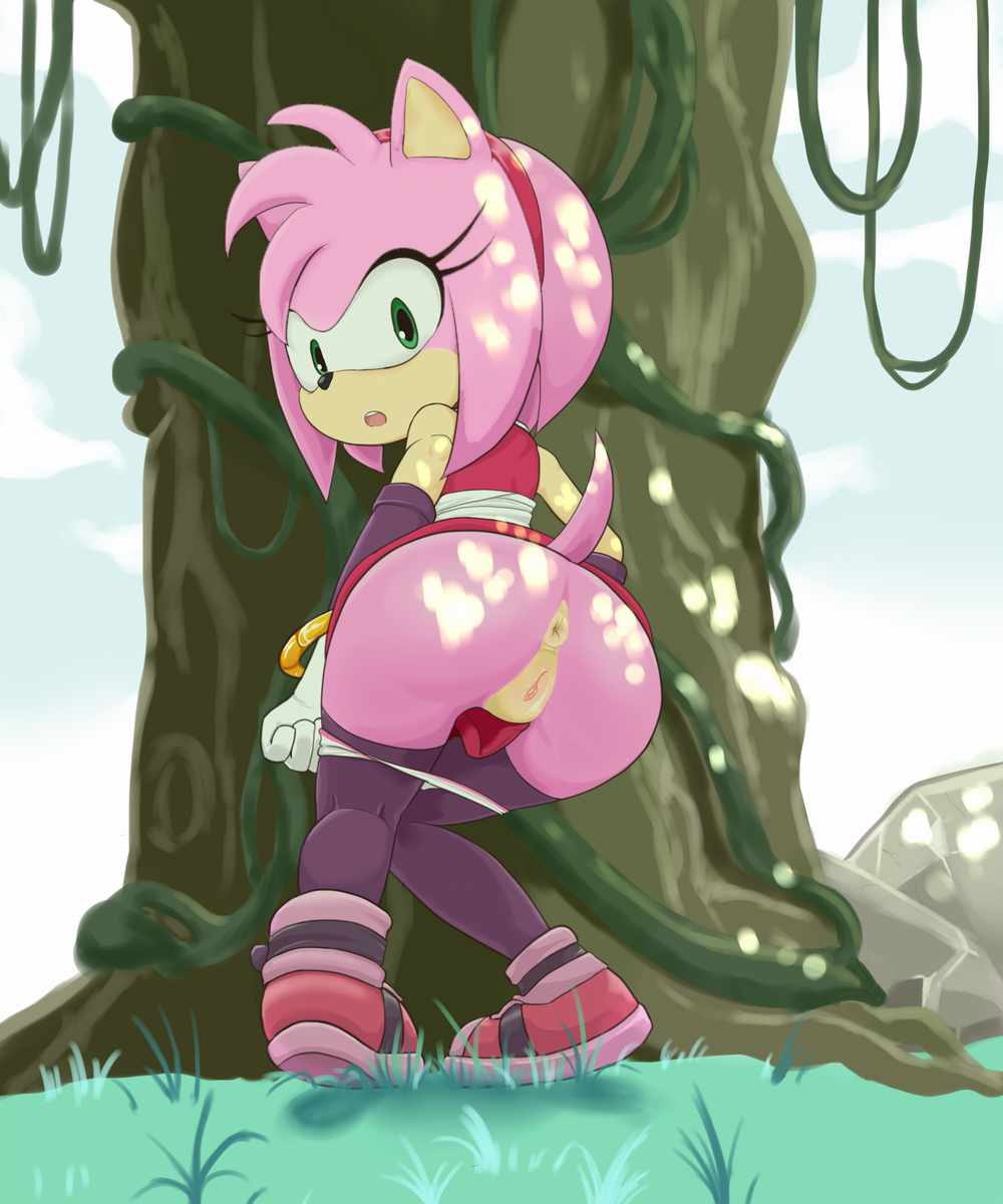 Amy Rose Rule 34 Porn - Rule34 - If it exists, there is porn of it / sake (pixiv), amy rose /  5779935