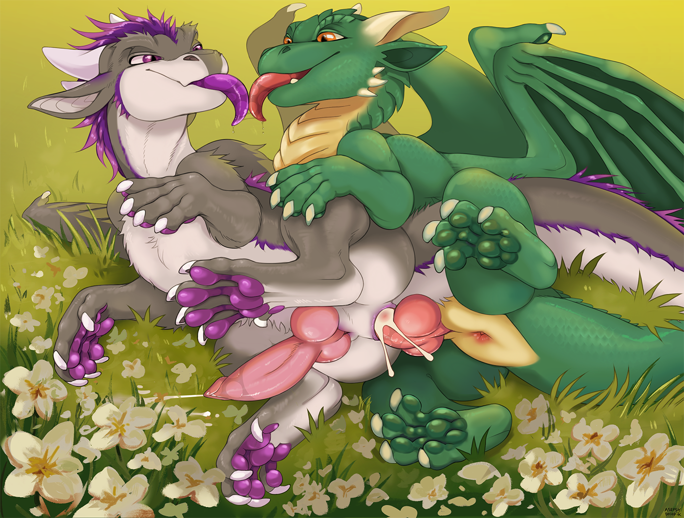 collaboration, anal, animal related, aseysh, ass, bodily fluids, claws, cum, dragon, duo, feral, finished, fluffy, fur, genital fluids, genitals, horn, male, male/male, paw-beans, paws, penetration, penis, scalie, sex, soolopik, tail, tongue, western dragon, wet, wings, 
