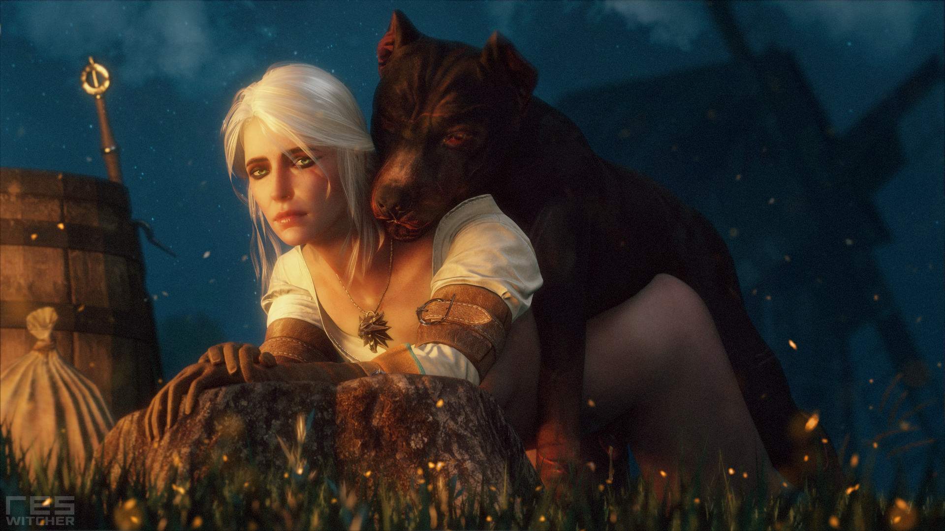 The witcher 3 steel for humans текст песни фото 24