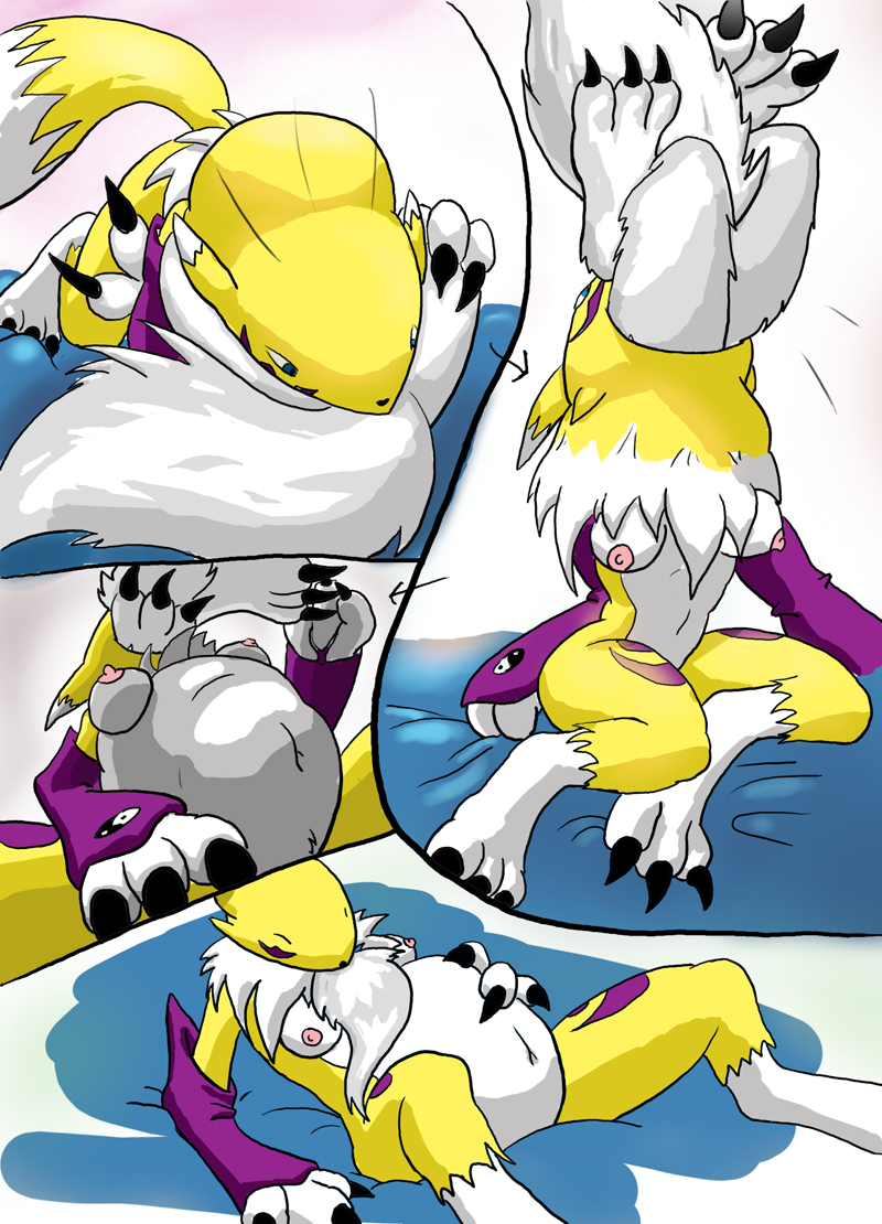 Rule34 - If it exists, there is porn of it  ozoneserpent, renamon  2977715