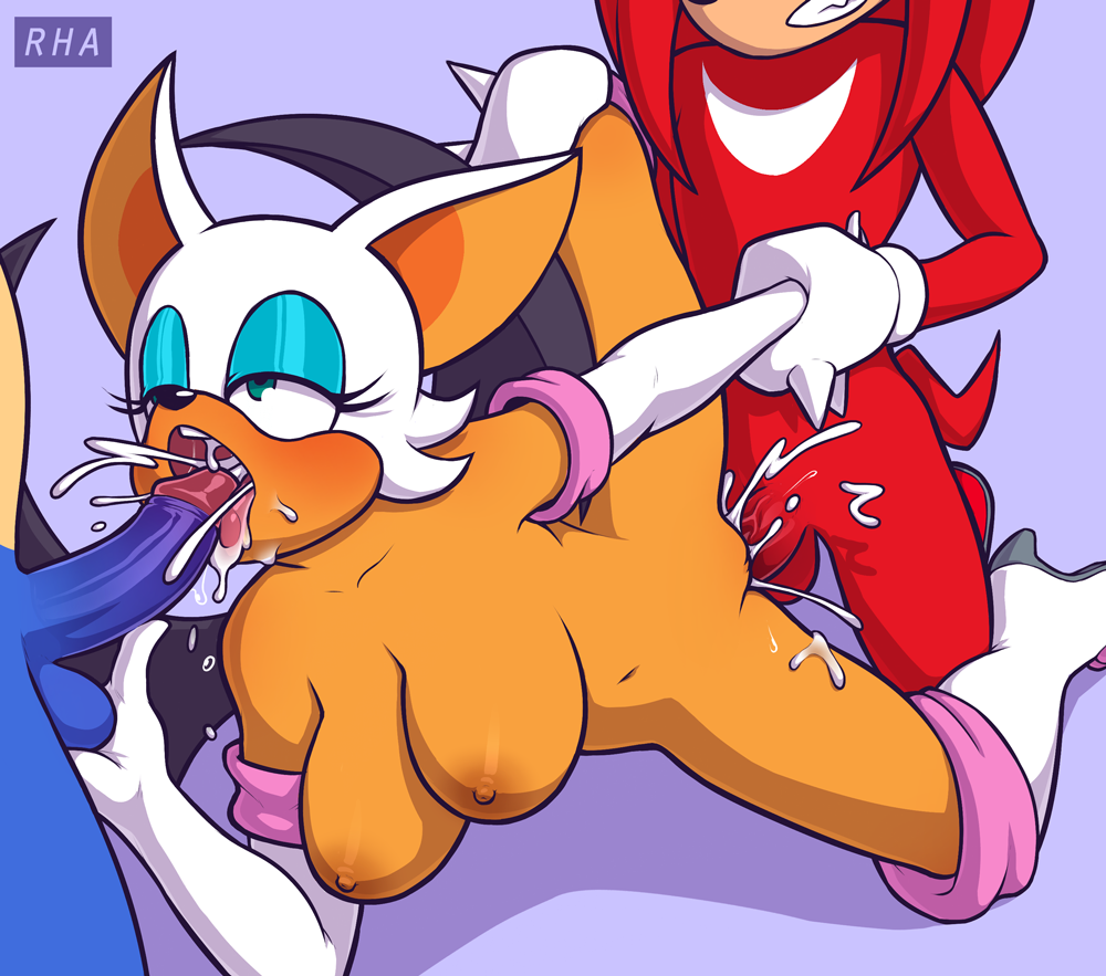 rha, knuckles the echidna, rouge the bat, sonic the hedgehog, sonic (series...