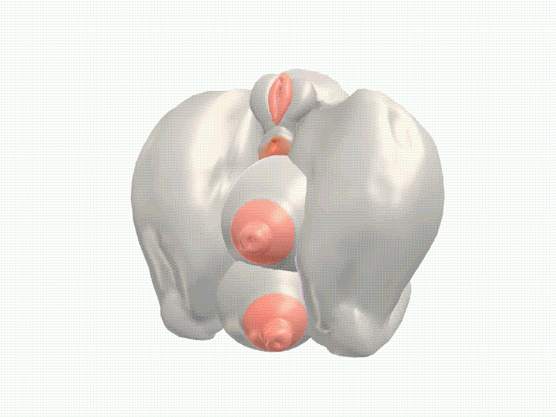 3d animated anthro balled_up bovid caprine contortionism female flexible goat mammal objectification pezho solo toriel undertale undertale_(series)