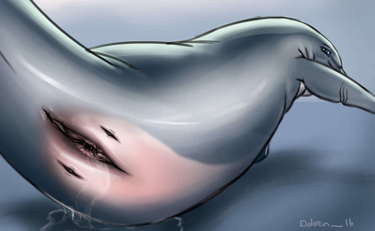 cetacean, dolphin, female, feral, fin, gaping, leaking, mammal, mammary sli...