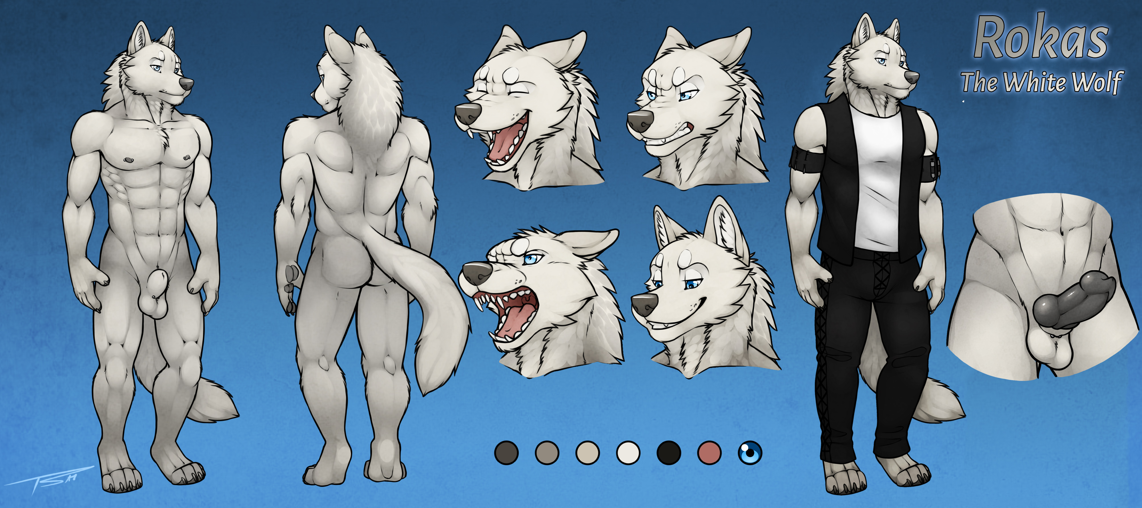 rokas, tsaiwolf, absurd res, hi res, model sheet, simple background, 1boy, ...