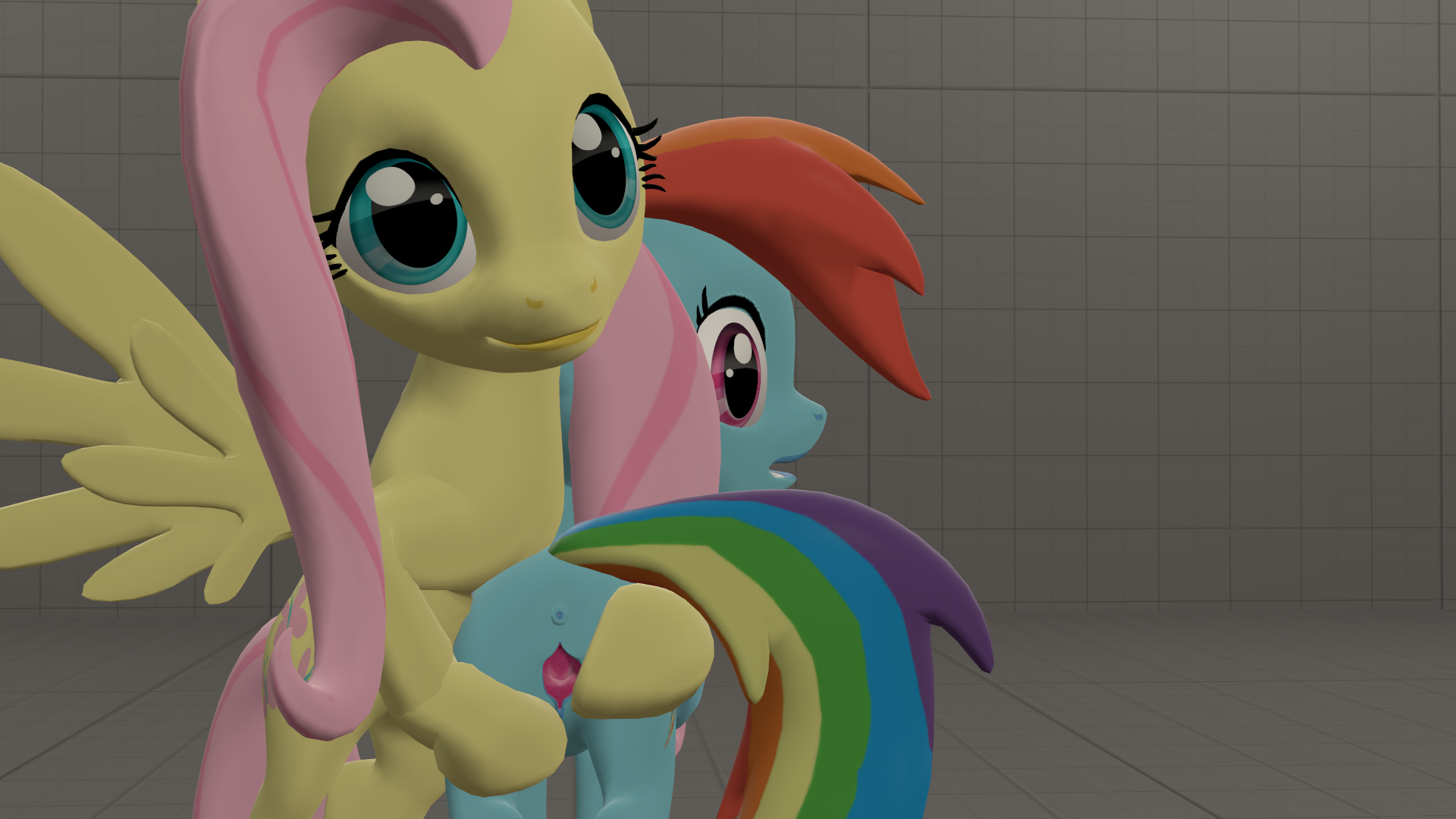 mr tektite, fluttershy (mlp), rainbow dash (mlp), friendship is magic, my little pony, 3d, source filmmaker, anus, equine, female, pegasus, pony, presenting, pussy, spread pussy, spreading, surprised, yuri, 