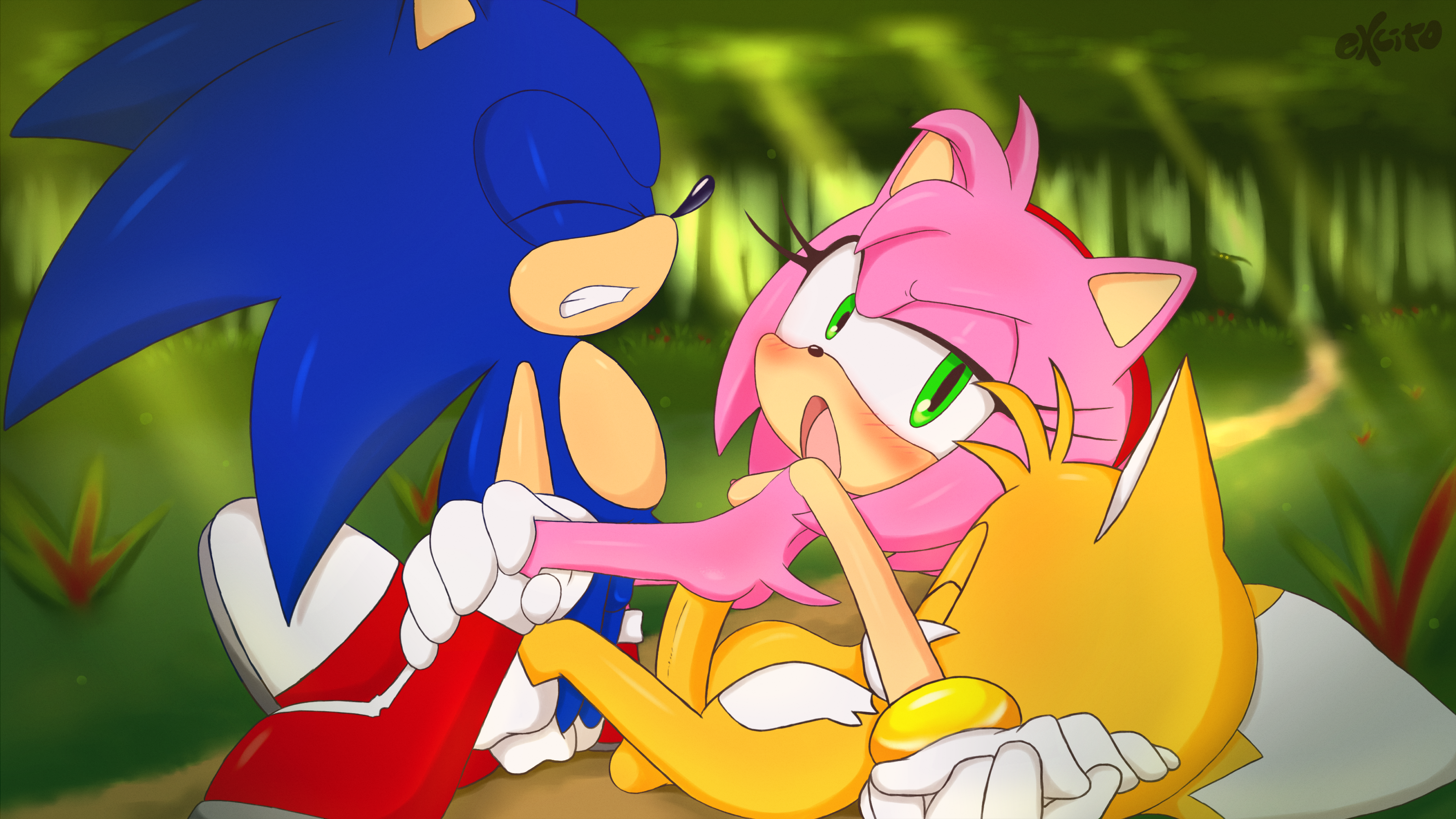 excito, amy rose, big the cat, sonic the hedgehog, tails, sonic (series), a...
