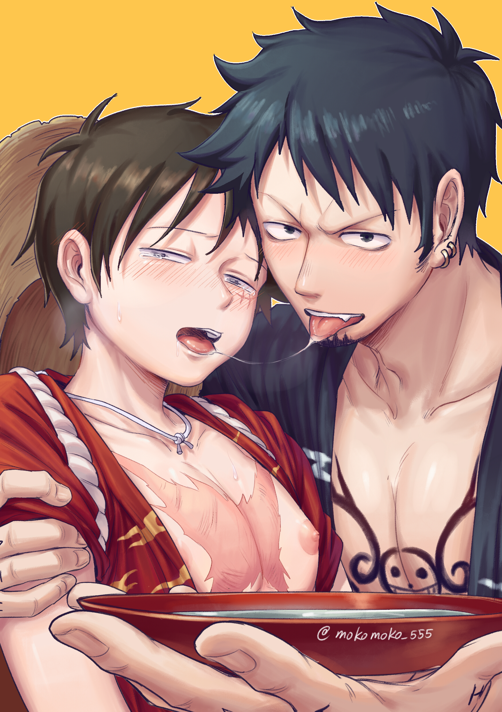 Law x luffy rule 34