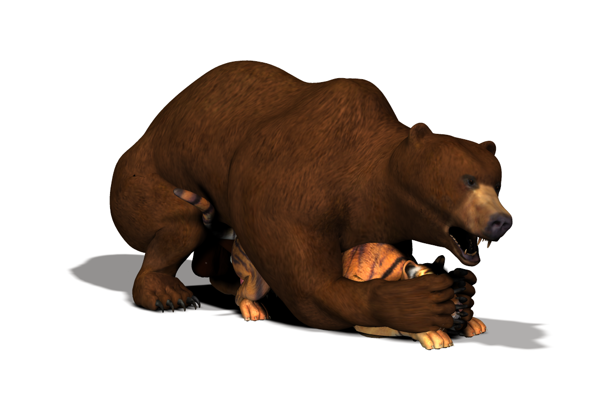 Animal bear porn