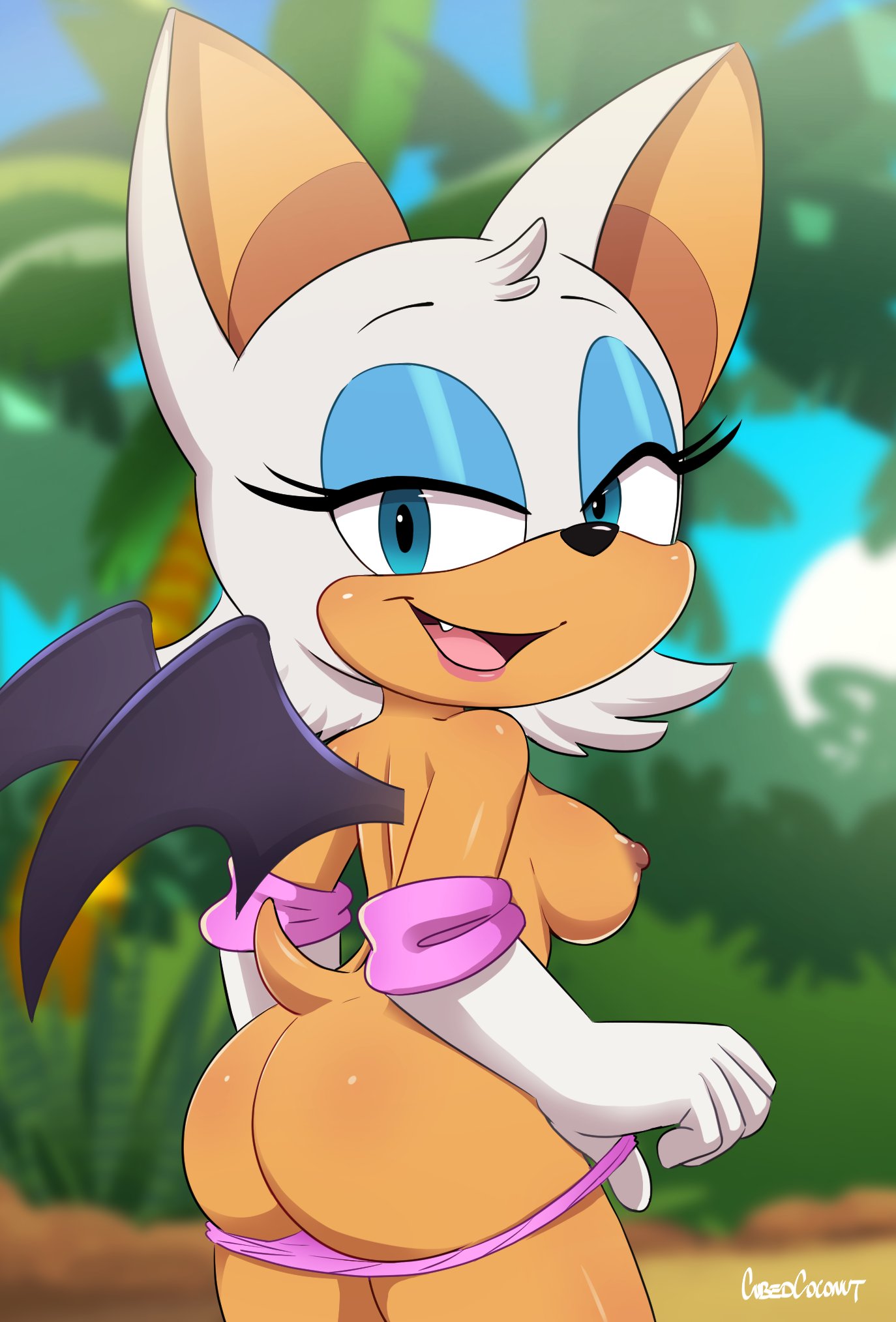 Rouge the bat nudes