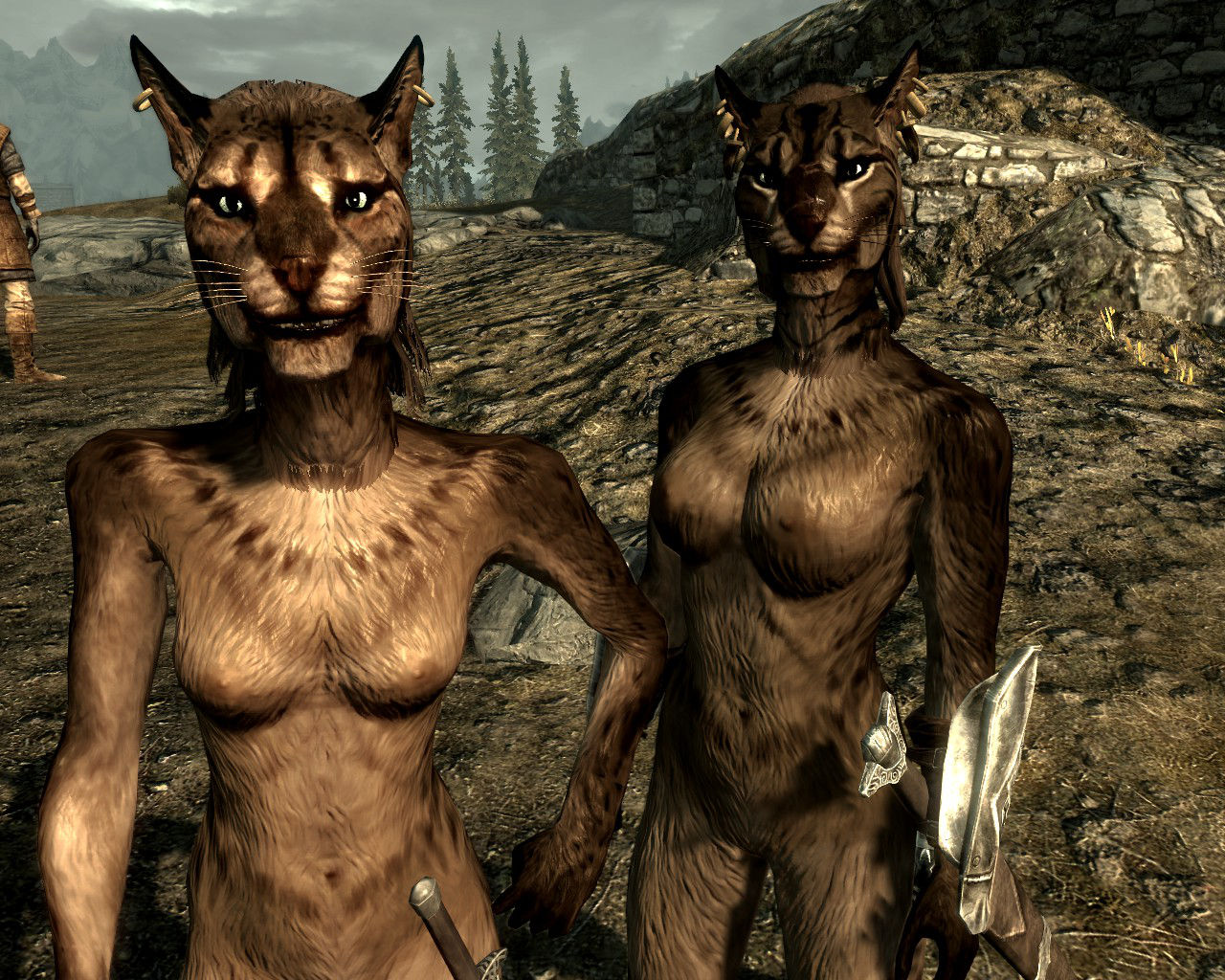 Rule34 - If it exists, there is porn of it / khajiit / 2779850.