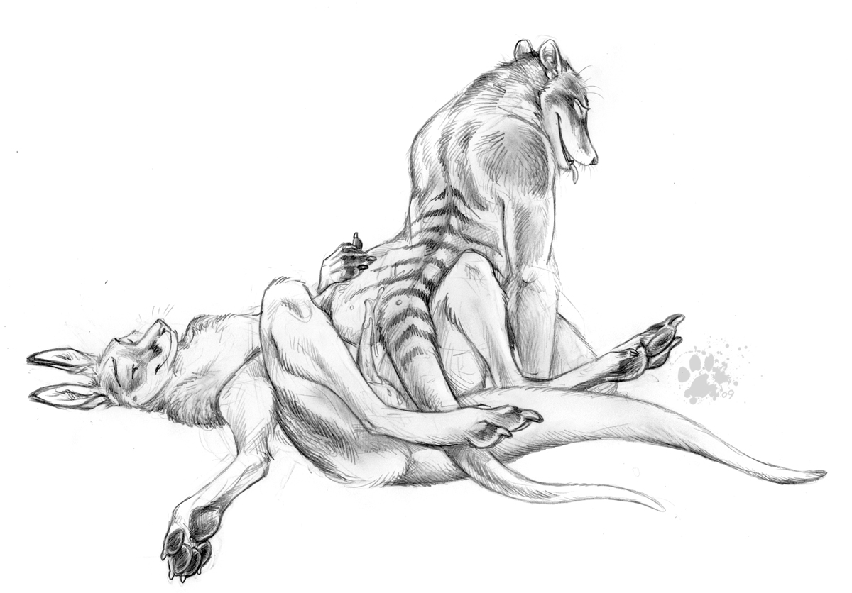 Kangaroo Sex Position