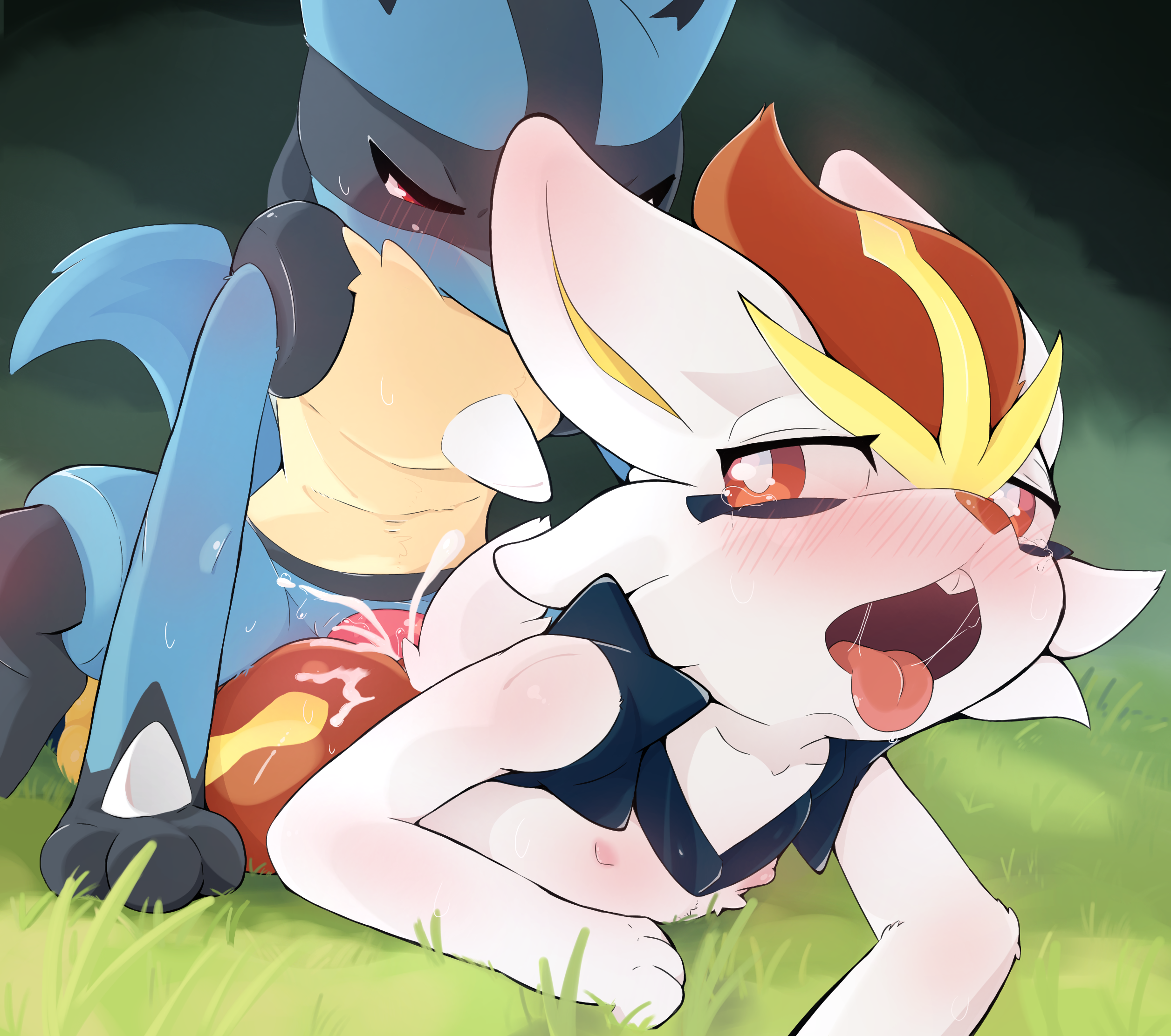 Lucario x cinderace nsfw