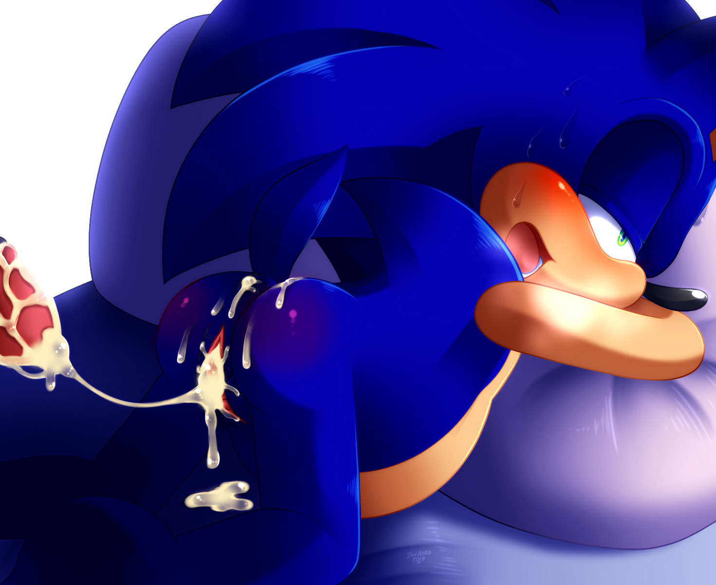 jayaero, <b>sonic</b> the hedgehog, <b>sonic</b> (series), rule 63, after sex, ass, cum, ...