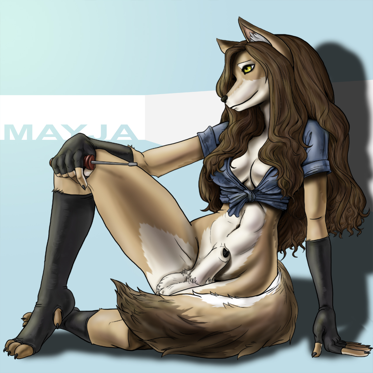 animal genitalia, anthro, bottomless, canine, clothed, clothing, coyote, dickgirl, fingerless gloves, gloves, intersex, legwear, mammal, mayja, mechanic, penis, screwdriver, sheath, sitting, socks, solo, splatterbunny, toeless socks, tools, yellow eyes, 