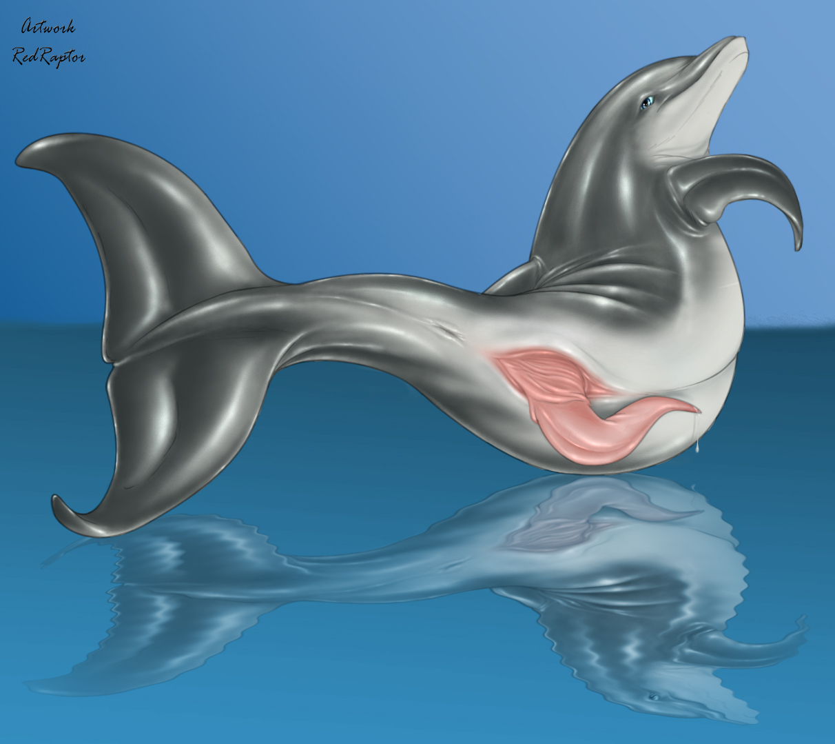 cetacean, cetacean penis, cum, dolphin, erection, feral, fin, genital slit,...