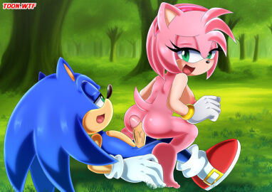 amy_rose bbmbbf breasts female male medium_breasts mobius_unleashed palcomix sega sonic_(series) sonic_the_hedgehog sonic_the_hedgehog_(series) toon.wtf