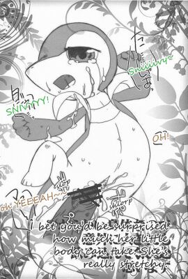 Image: 2729381