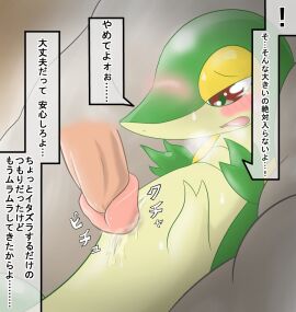 Image: 3173347